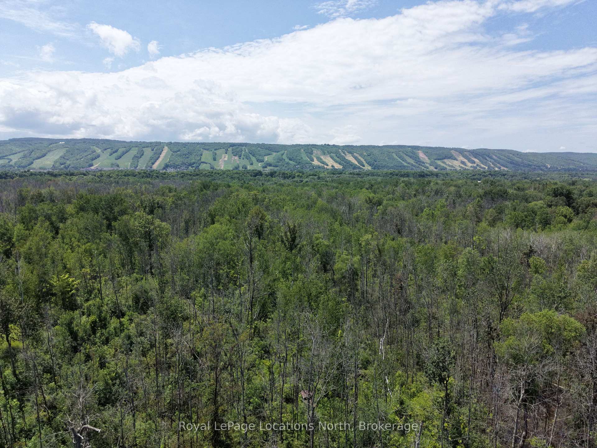 Photo 2 of 3-372 Grey Road 21, Blue Mountains — HOMEH