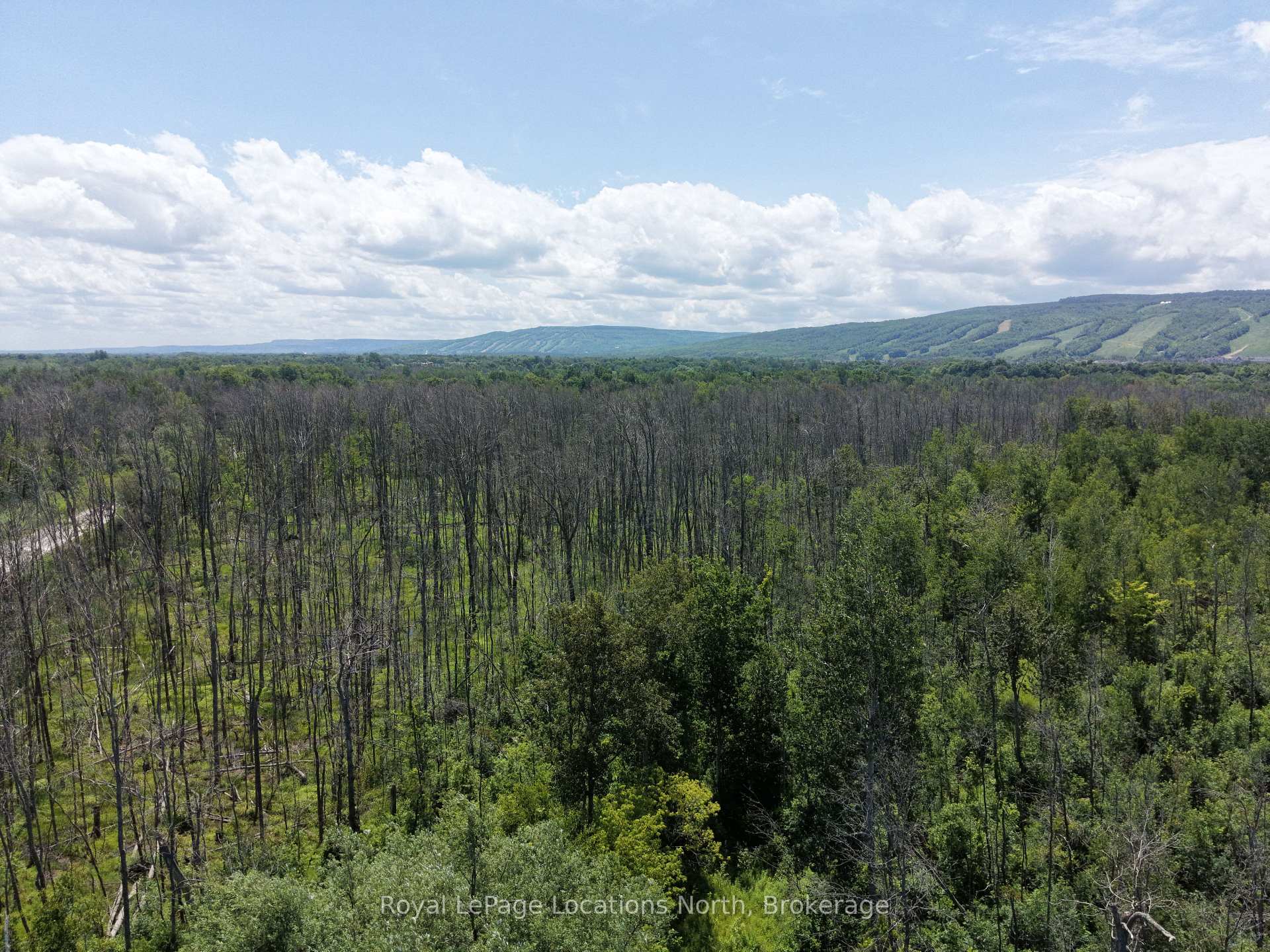 Photo 6 of 3-372 Grey Road 21, Blue Mountains — HOMEH
