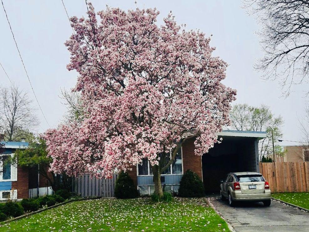 Photo 2 of 154 Luscombe Street, Hamilton, Greeningdon — HOMEH
