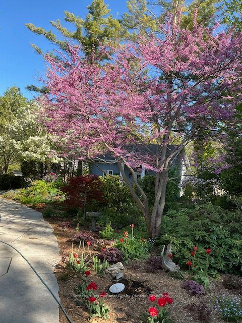 Photo 47 of 1036 River Road E, Wasaga Beach — HOMEH
