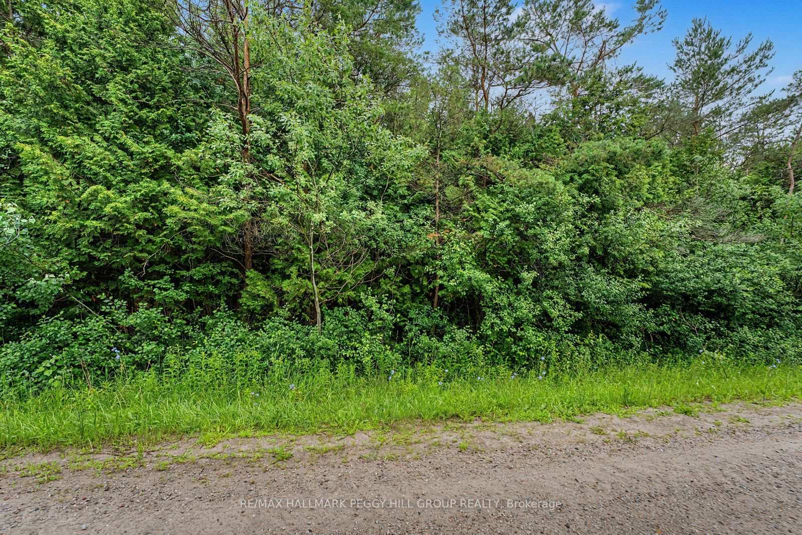 Photo 7 of 1659 County Road 92, Springwater, Rural Springwater — HOMEH