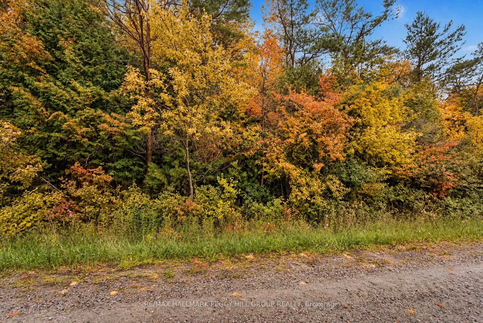 Photo 8 of 1659 County Road 92, Springwater, Rural Springwater — HOMEH