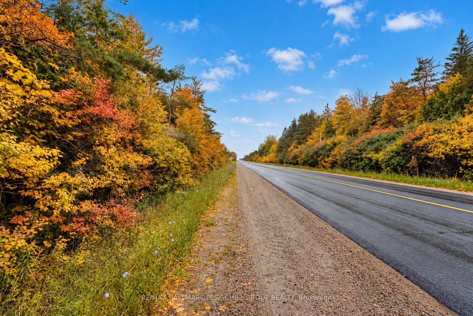 Photo 10 of 1659 County Road 92, Springwater, Rural Springwater — HOMEH