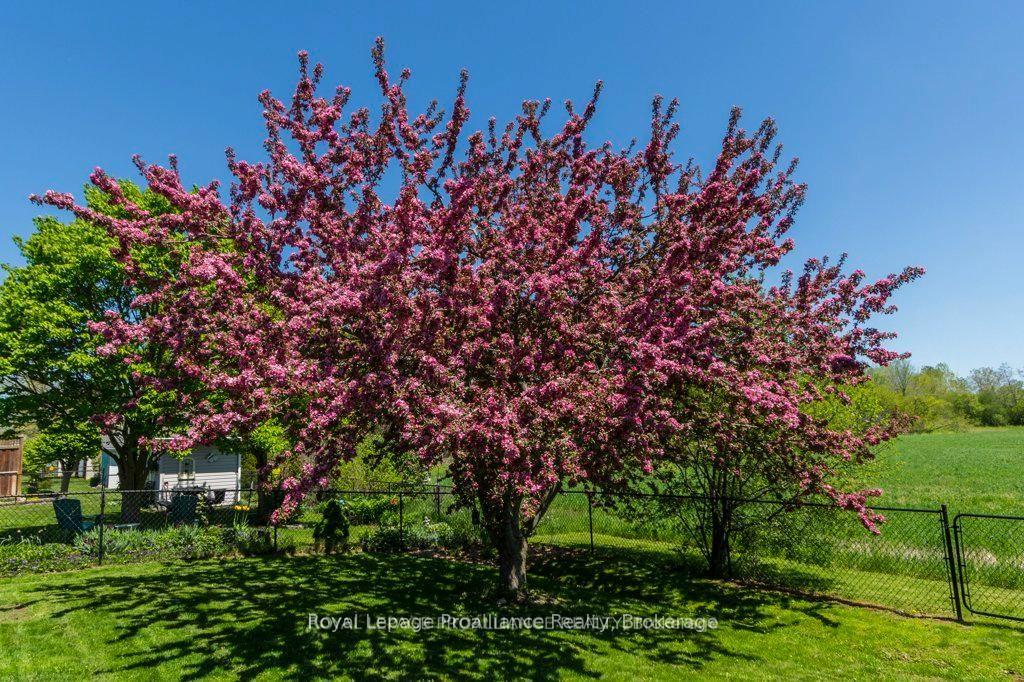 Photo 36 of 51 Applewood Drive, Brighton — HOMEH