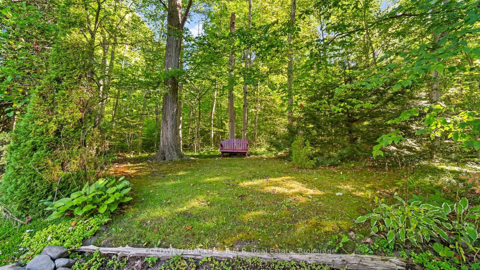 Photo 45 of 3621 Kennedy Road, Hamilton Township, Rural Hamilton — HOMEH