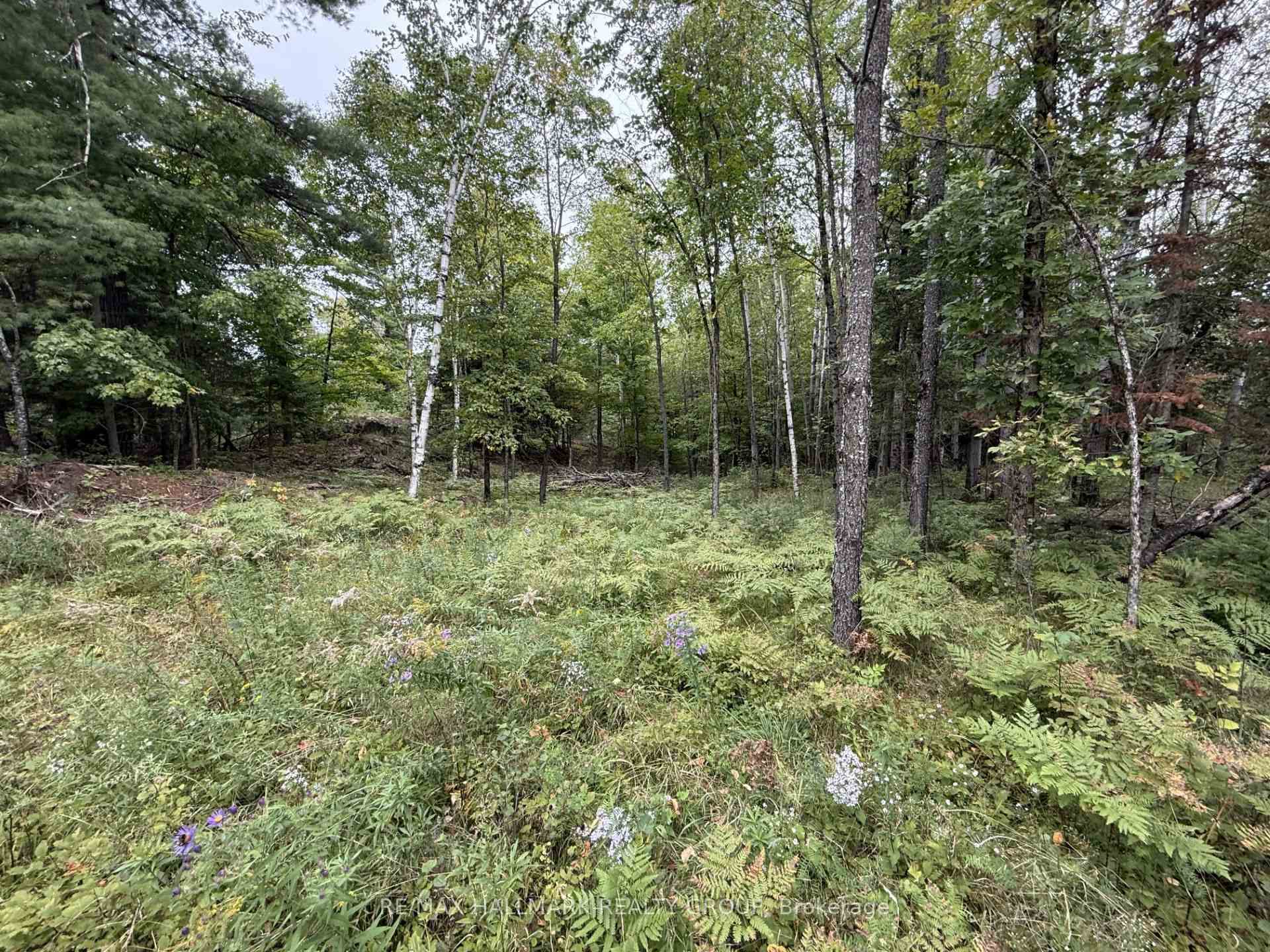 Photo 3 of 1059 6th Concession B Road, Lanark Highlands, Lanark Highlands (Lanark) Twp — HOMEH