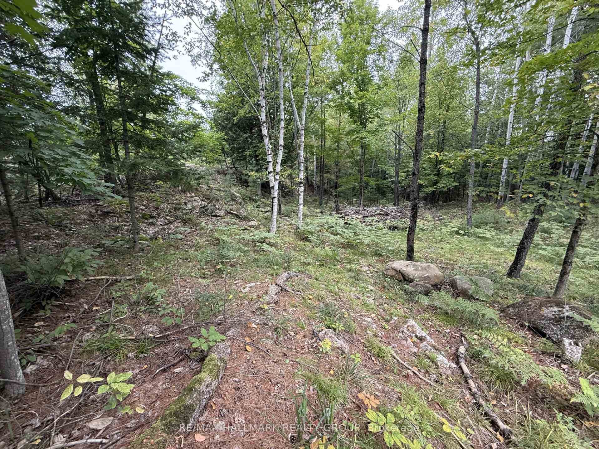 Photo 4 of 1059 6th Concession B Road, Lanark Highlands, Lanark Highlands (Lanark) Twp — HOMEH