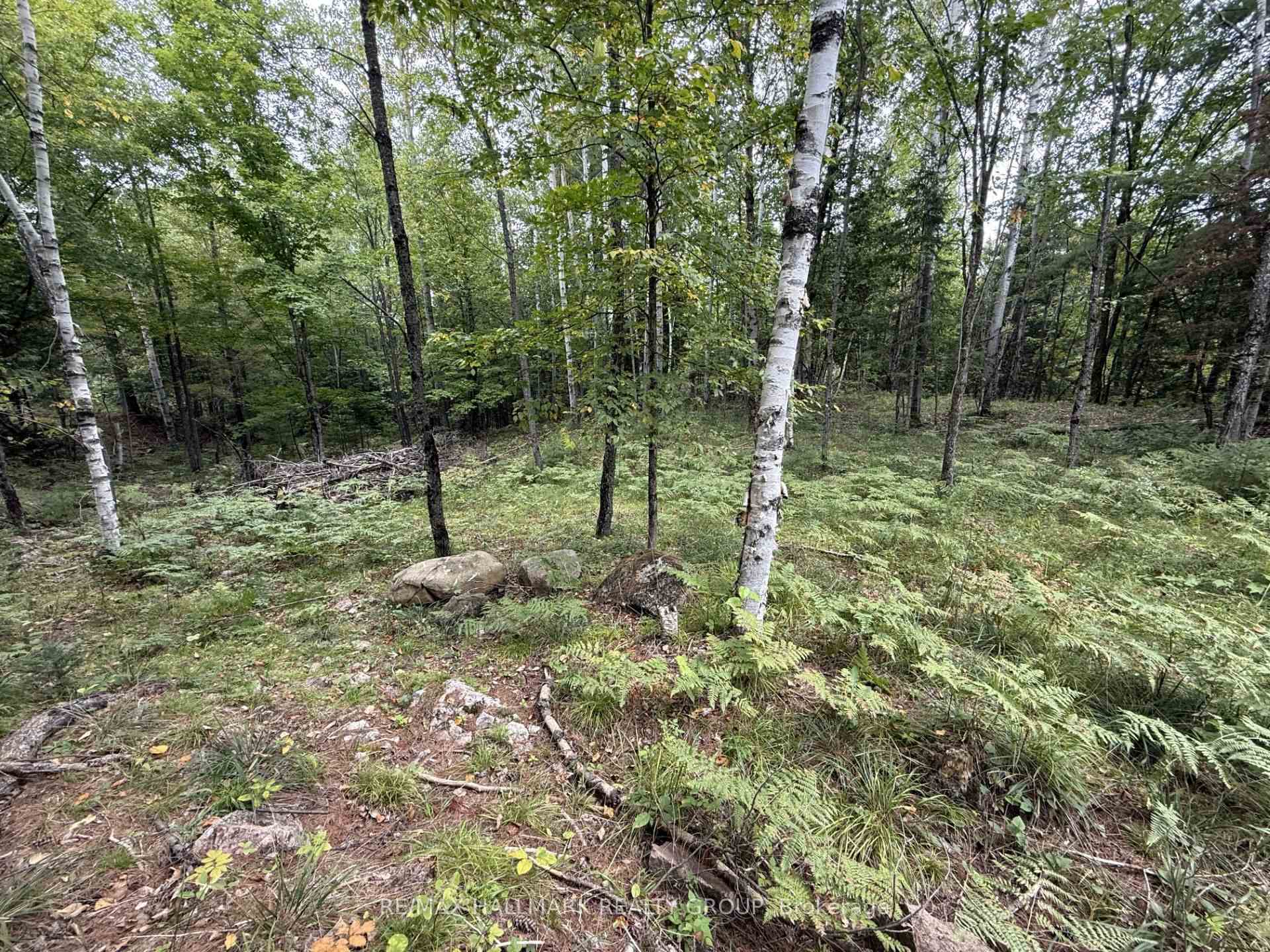 Photo 5 of 1059 6th Concession B Road, Lanark Highlands, Lanark Highlands (Lanark) Twp — HOMEH