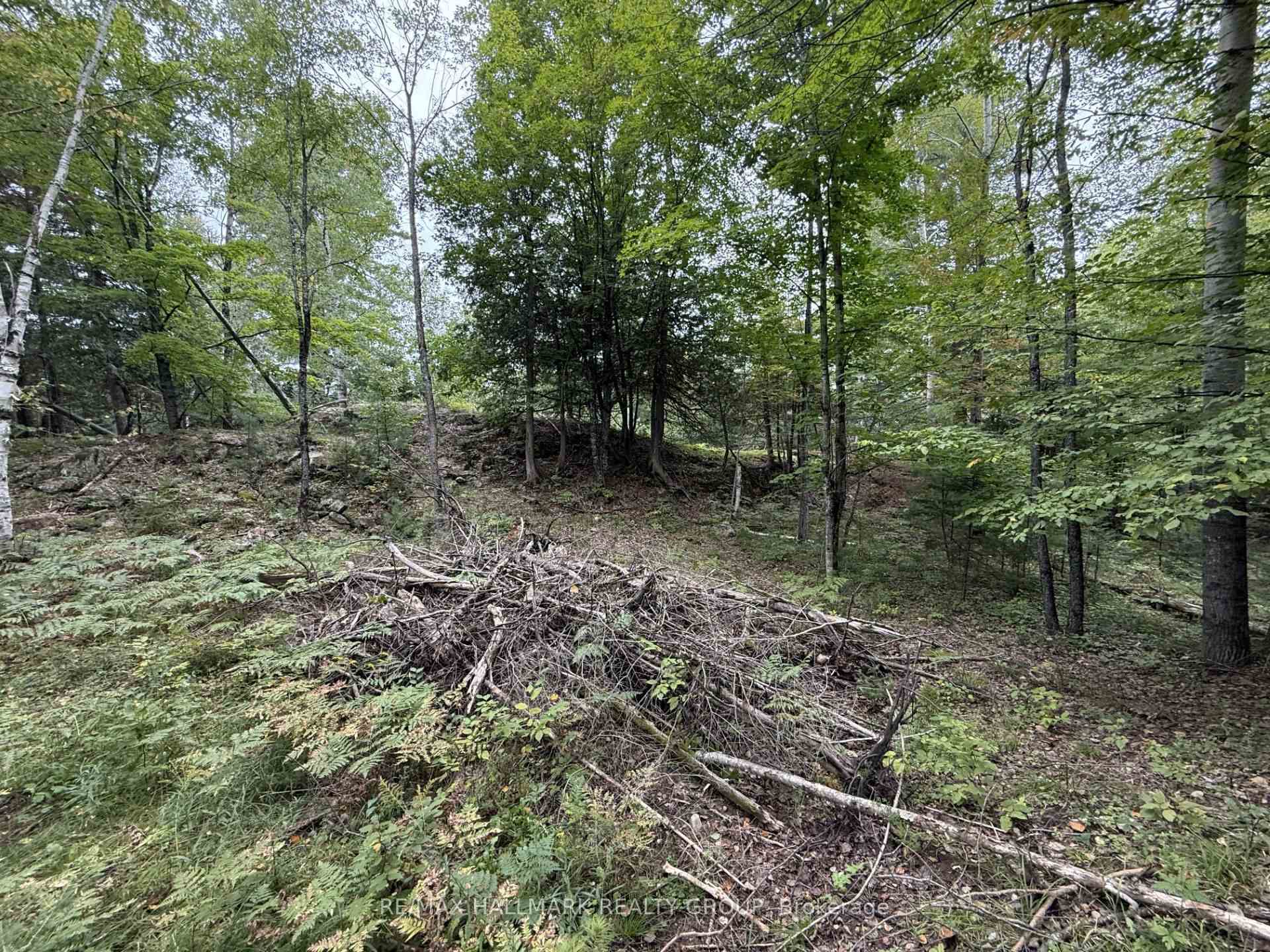 Photo 6 of 1059 6th Concession B Road, Lanark Highlands, Lanark Highlands (Lanark) Twp — HOMEH