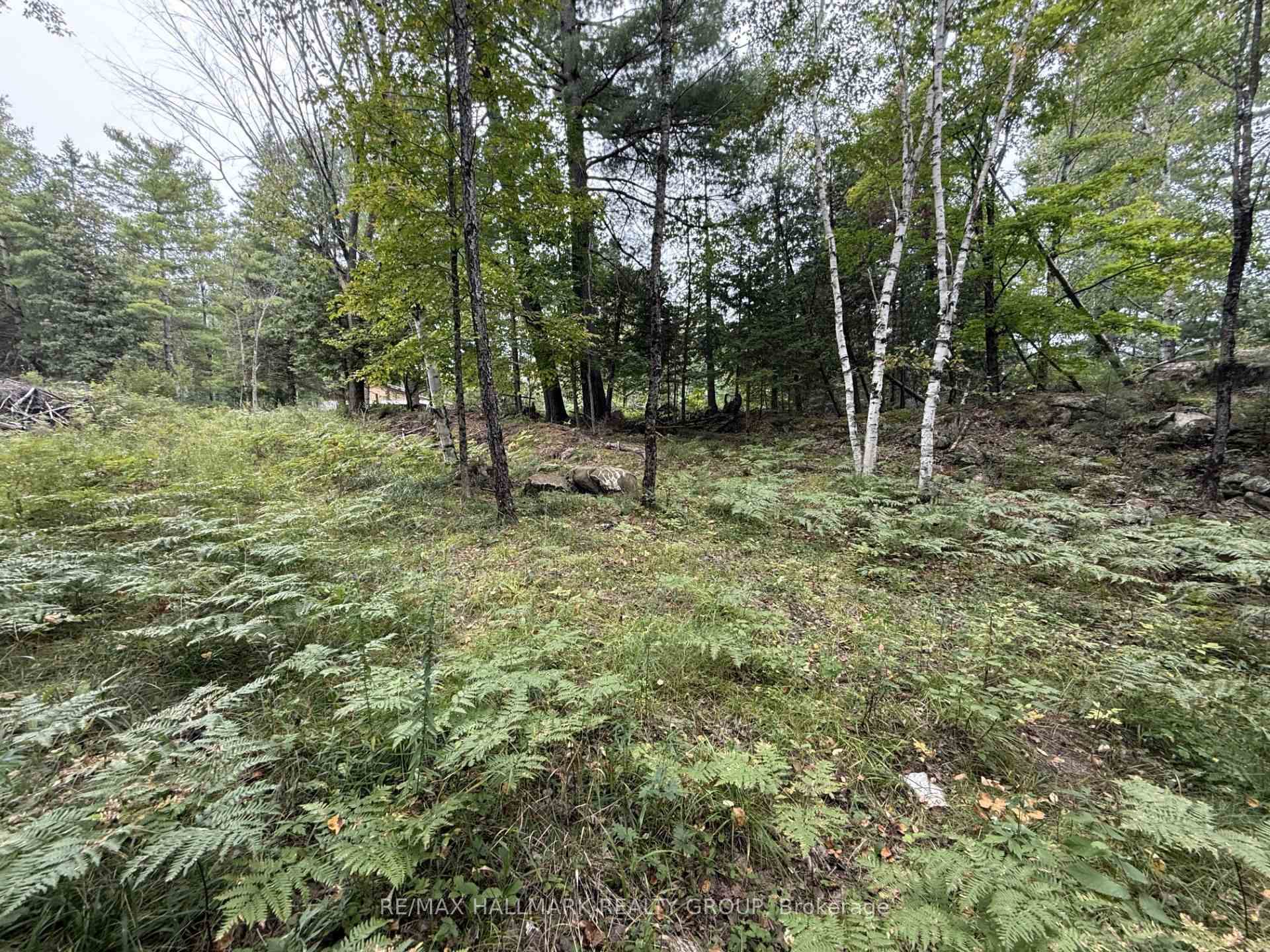 Photo 7 of 1059 6th Concession B Road, Lanark Highlands, Lanark Highlands (Lanark) Twp — HOMEH