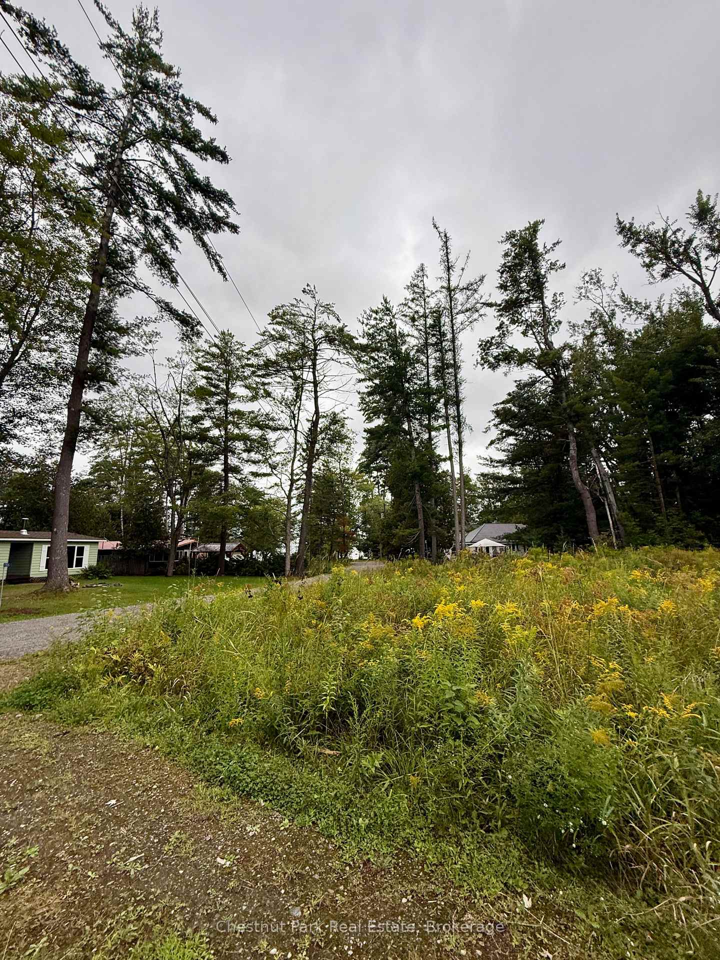 Photo 6 of 1004 Chippawa Avenue, Gravenhurst, Muskoka (S) — HOMEH