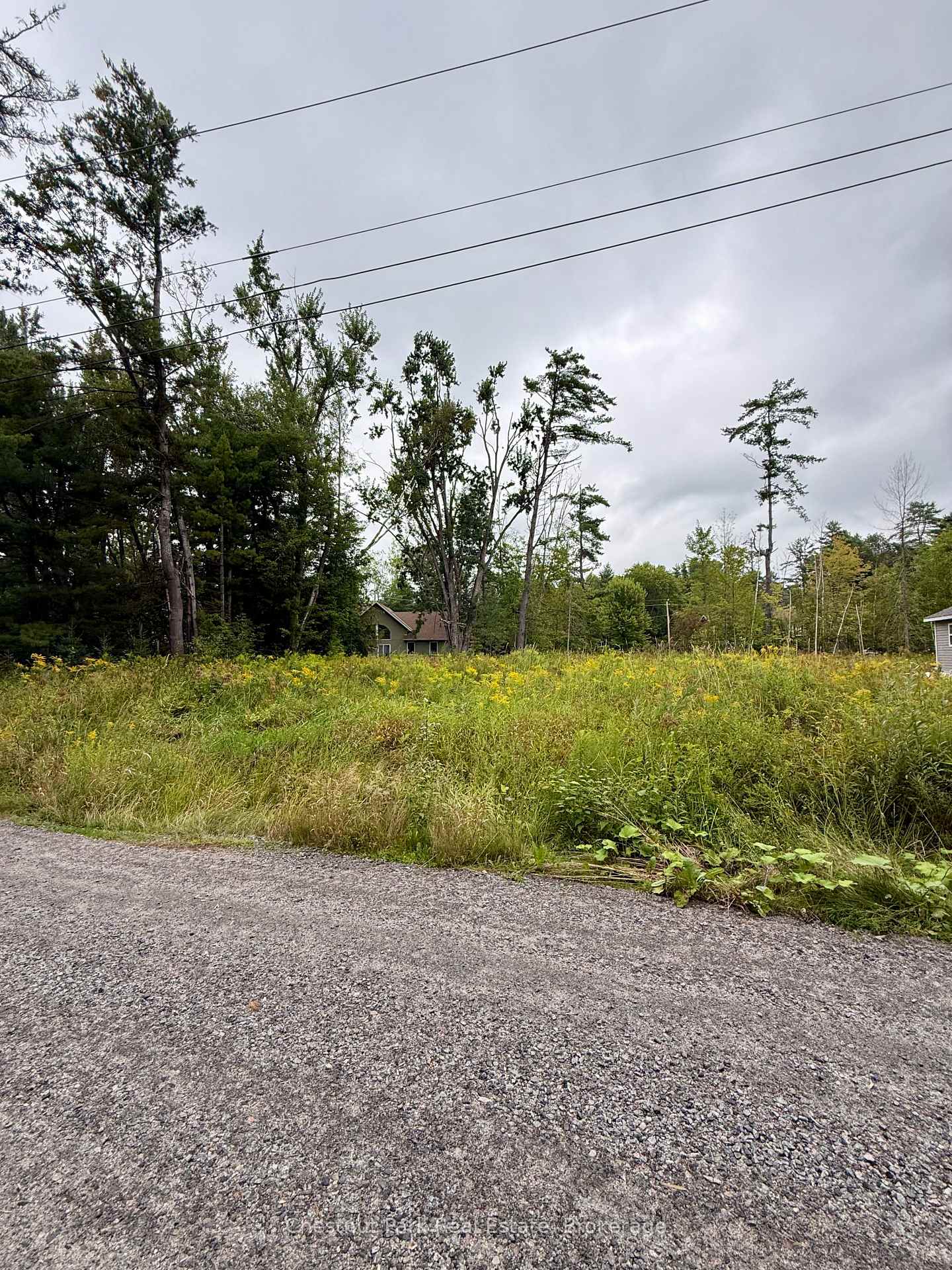 Photo 7 of 1004 Chippawa Avenue, Gravenhurst, Muskoka (S) — HOMEH