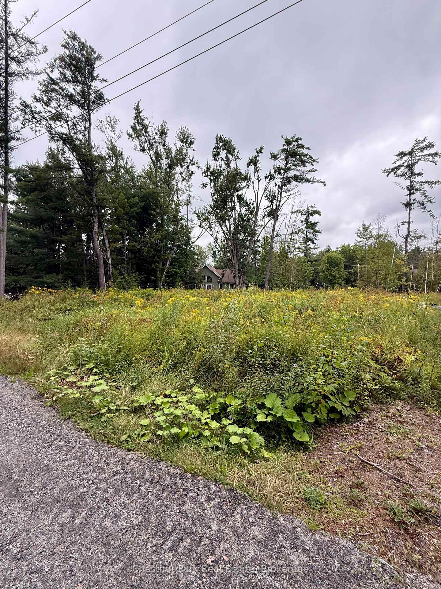 Photo 8 of 1004 Chippawa Avenue, Gravenhurst, Muskoka (S) — HOMEH