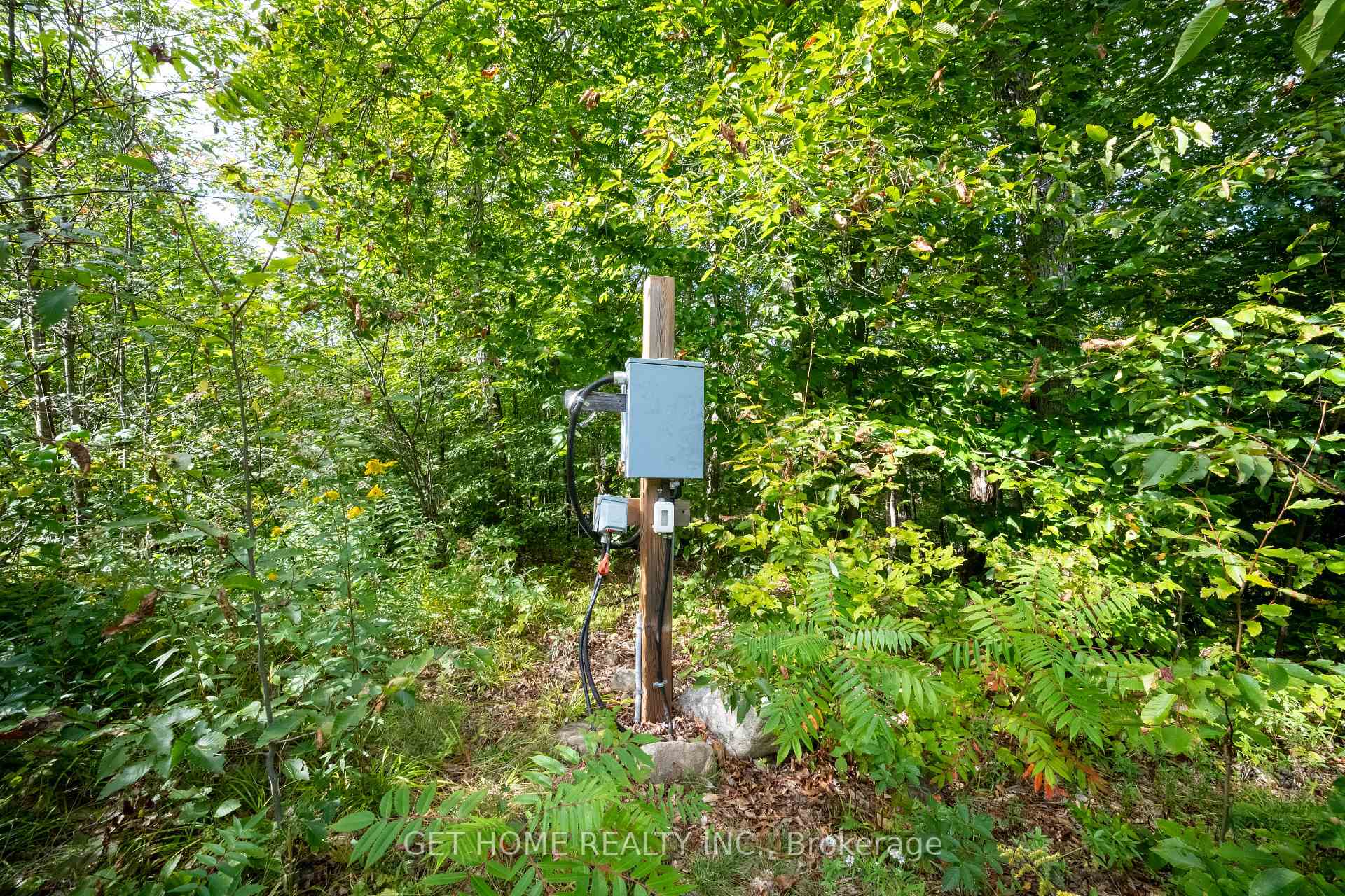 Photo 8 of 870 Relative Road, Armour — HOMEH