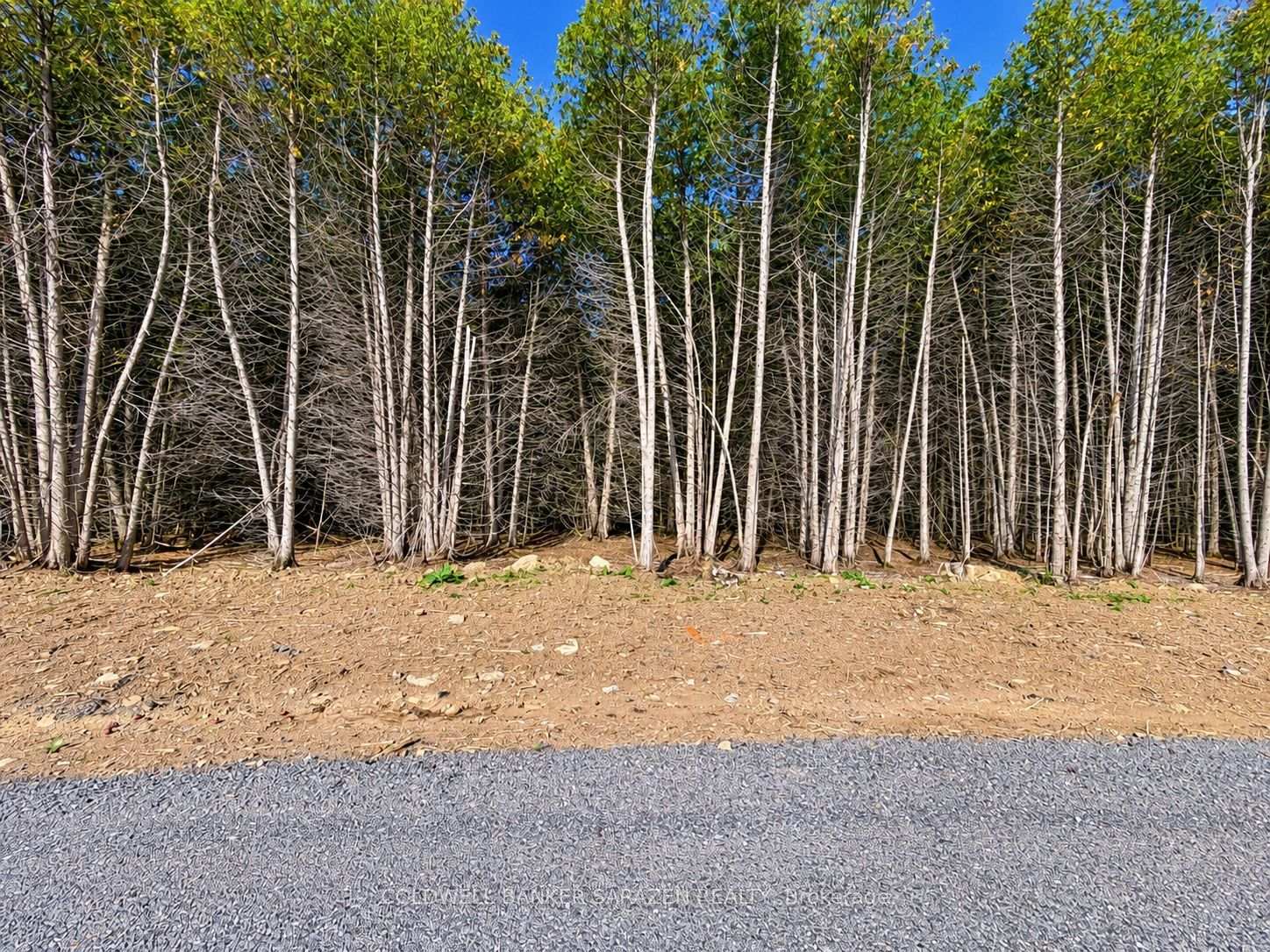 Photo 5 of Lot 9 Ginger Court, Ottawa, Metcalfe — HOMEH