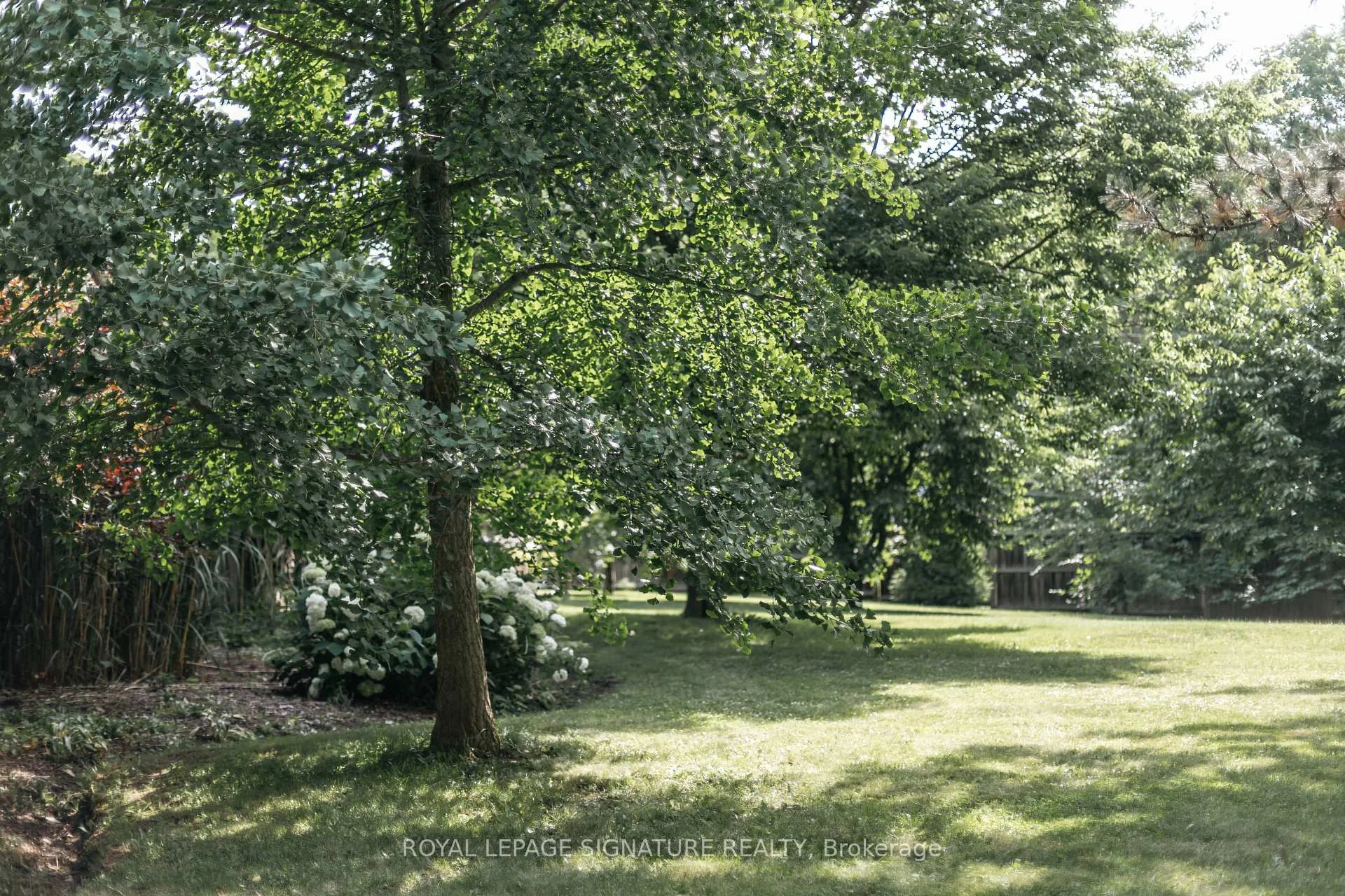 Photo 12 of 127 Jacob Street, Cambridge, Preston Heights — HOMEH