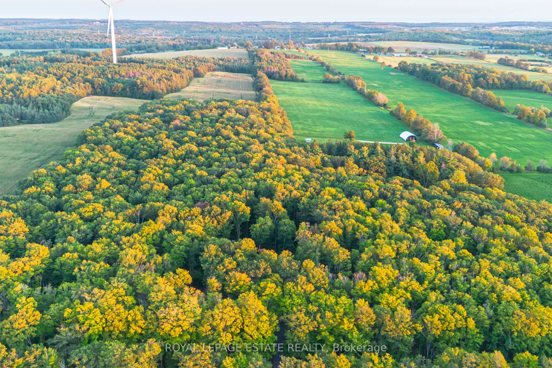 Photo 8 of 392 Telecom Road, Kawartha Lakes, Manvers — HOMEH