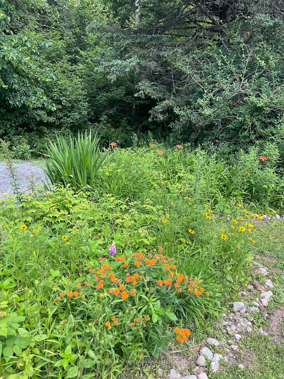 Photo 46 of 247 Old North Road, Huntsville, Chaffey — HOMEH