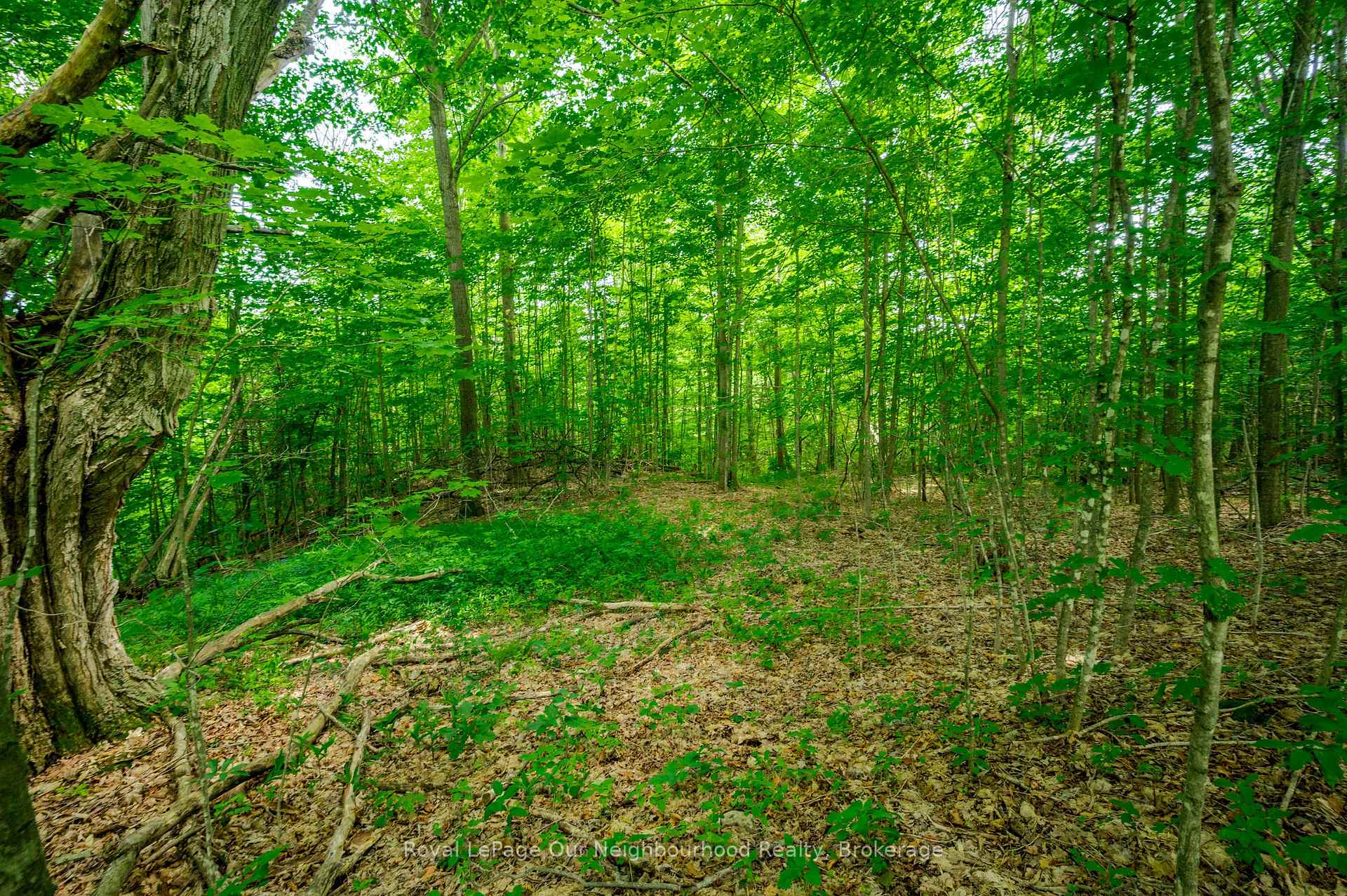 Photo 46 of 154 Collin Road, Alnwick/Haldimand, Rural Alnwick/Haldimand — HOMEH