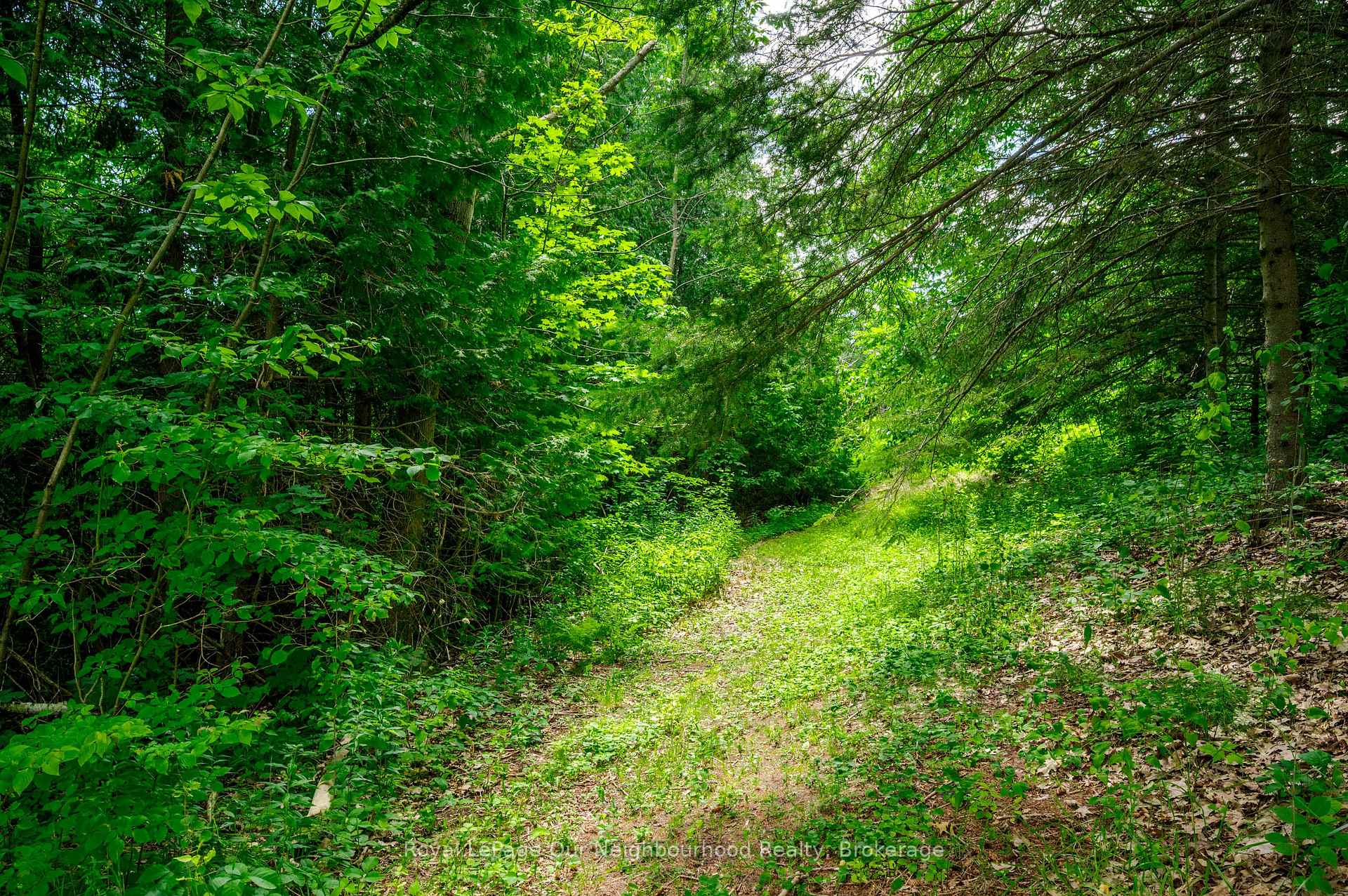 Photo 47 of 154 Collin Road, Alnwick/Haldimand, Rural Alnwick/Haldimand — HOMEH