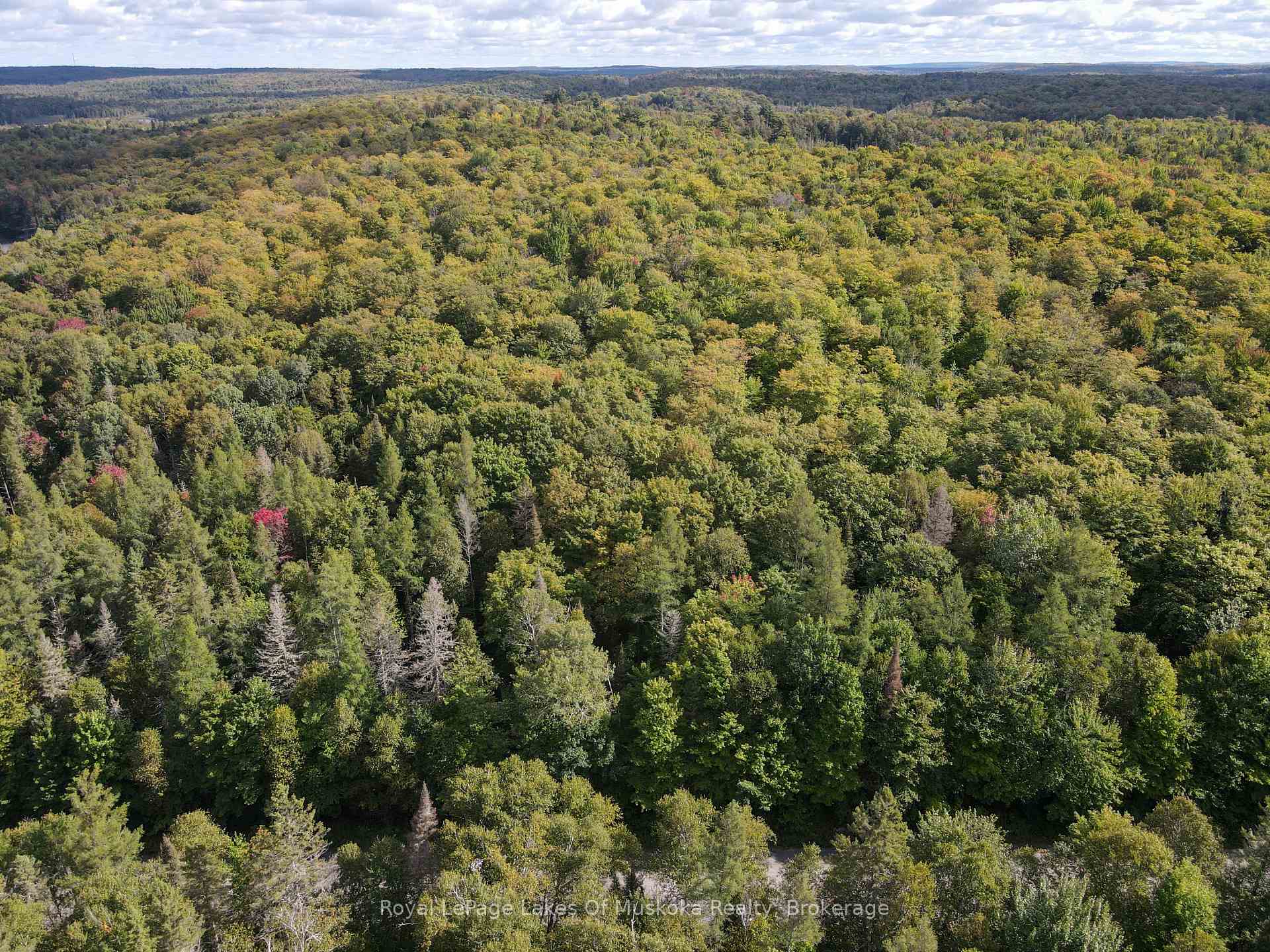 Photo 2 of Boundary Road, Parry Sound Remote Area, Lount — HOMEH