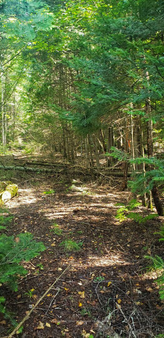 Photo 5 of Boundary Road, Parry Sound Remote Area, Lount — HOMEH