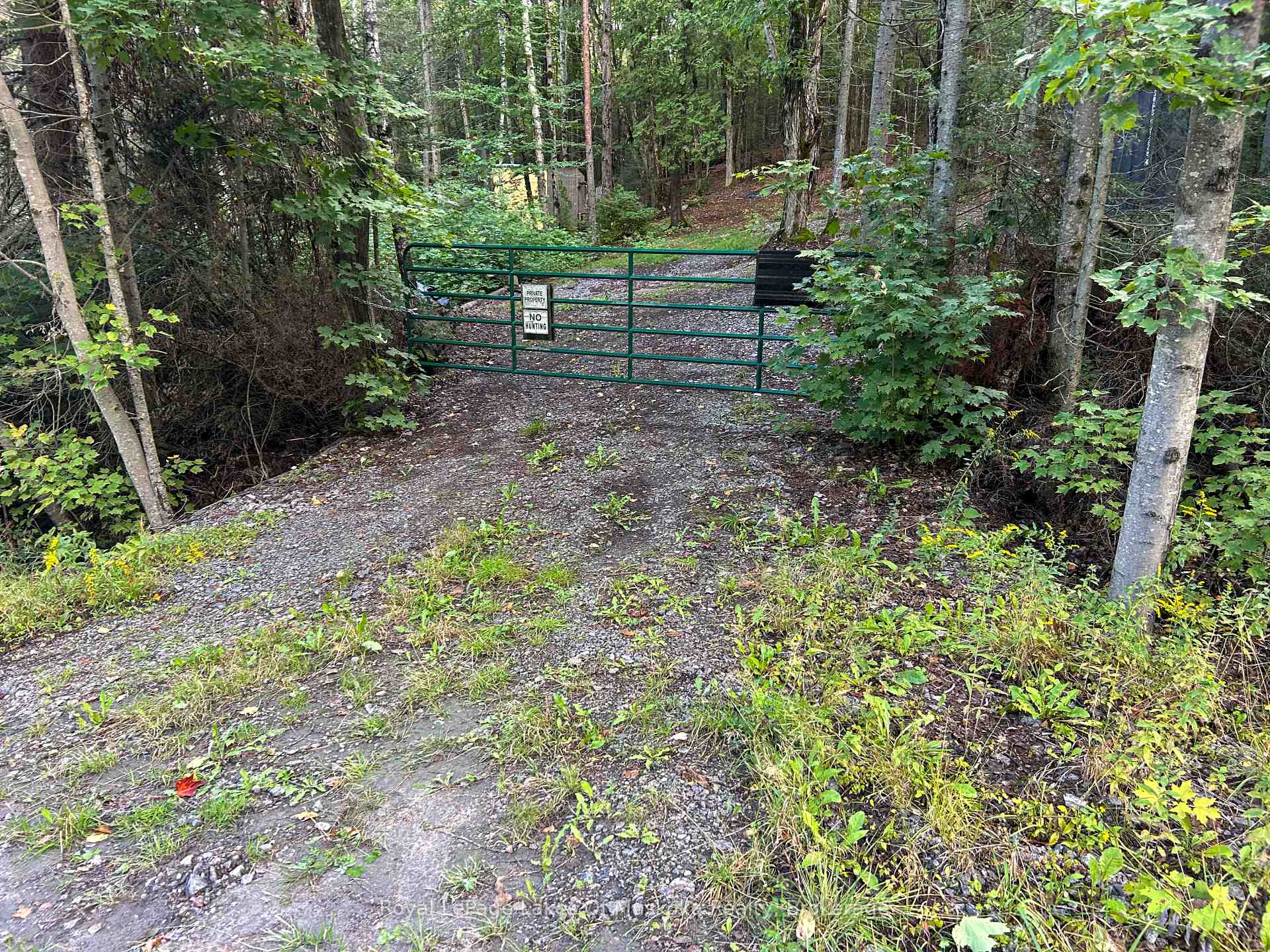 Photo 7 of Boundary Road, Parry Sound Remote Area, Lount — HOMEH