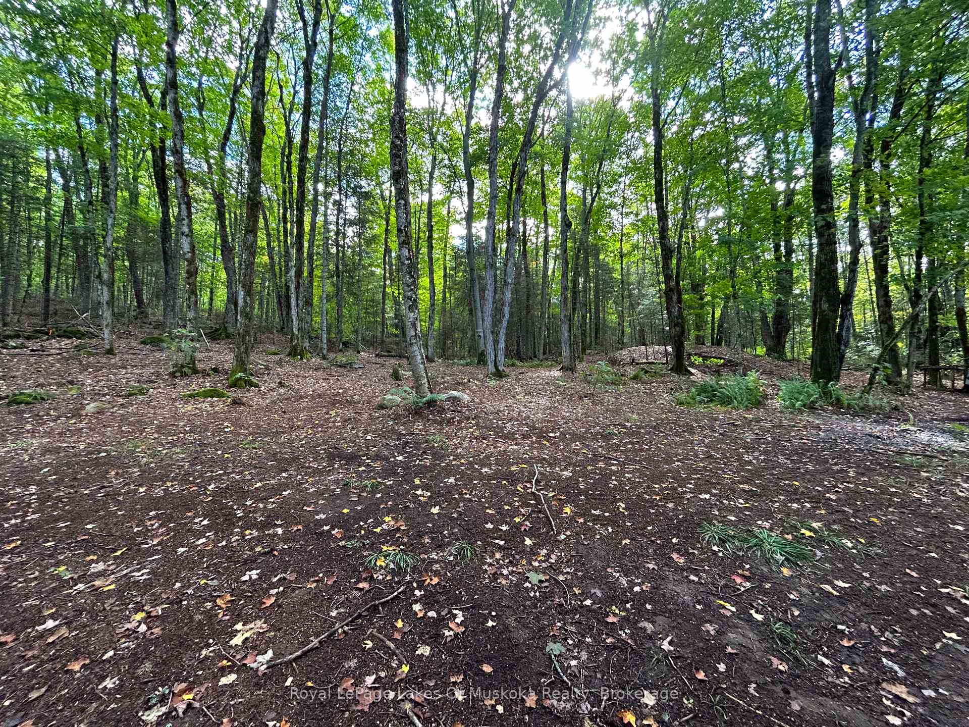 Photo 10 of Boundary Road, Parry Sound Remote Area, Lount — HOMEH