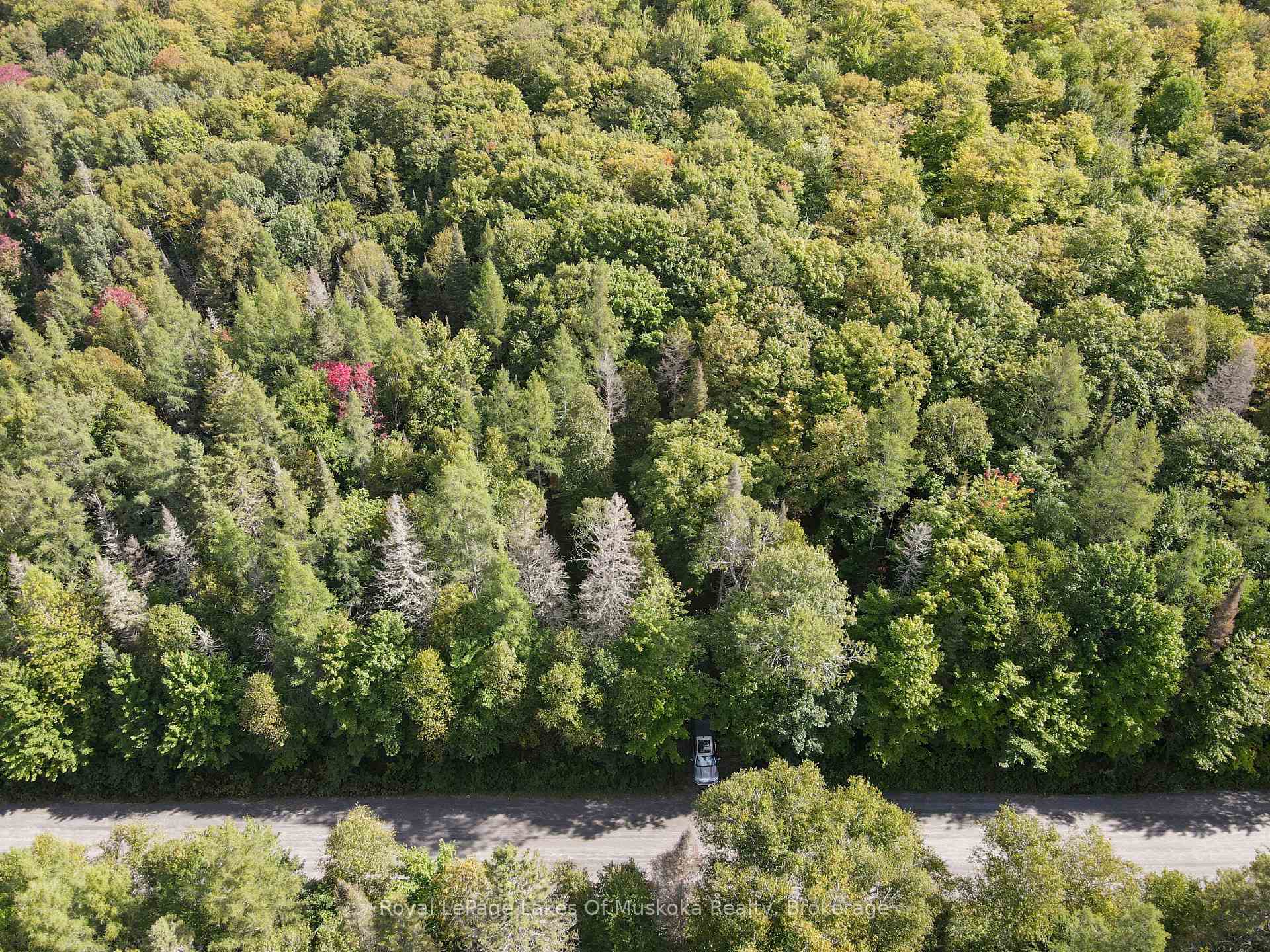 Photo 11 of Boundary Road, Parry Sound Remote Area, Lount — HOMEH