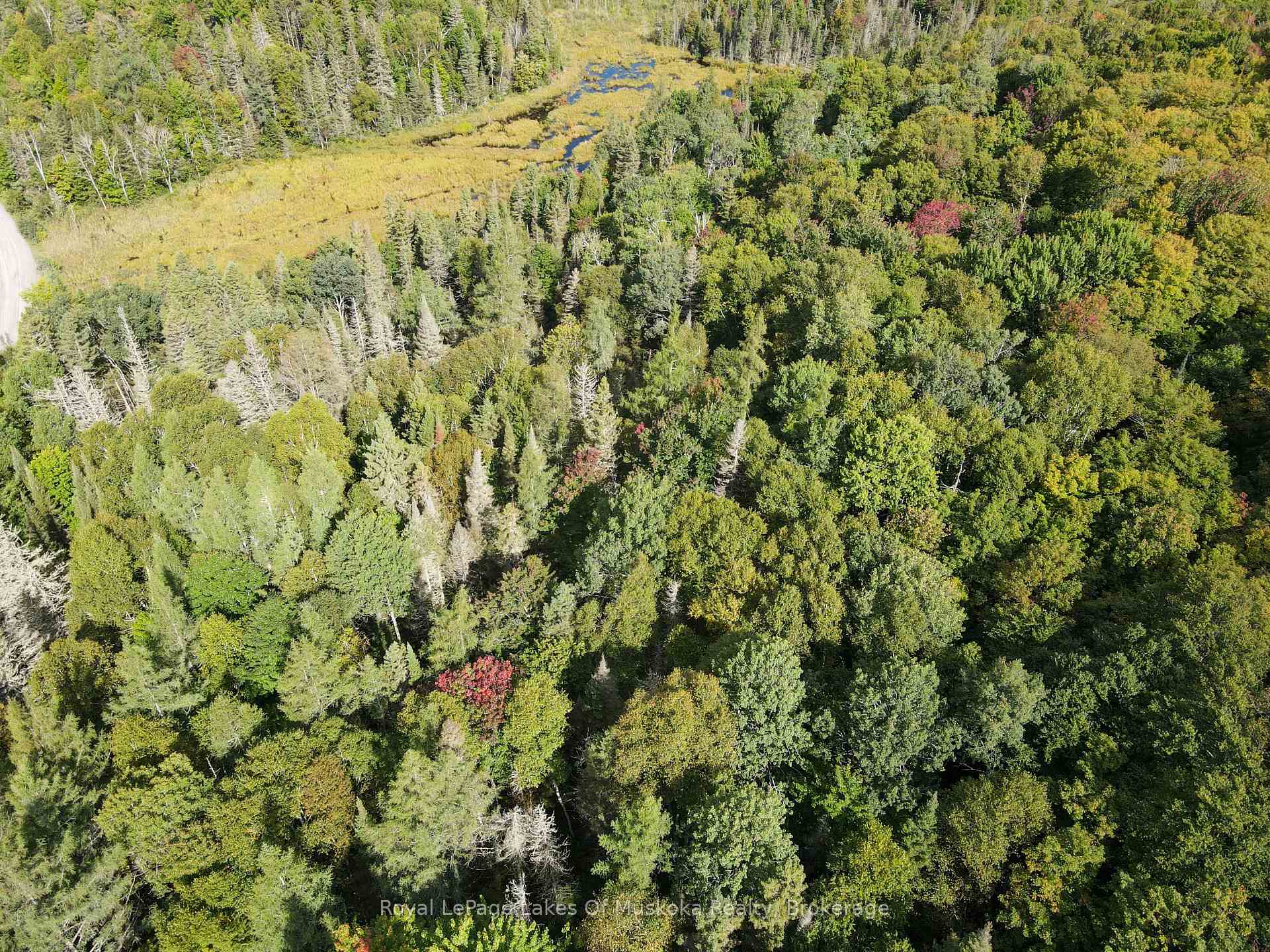 Photo 12 of Boundary Road, Parry Sound Remote Area, Lount — HOMEH
