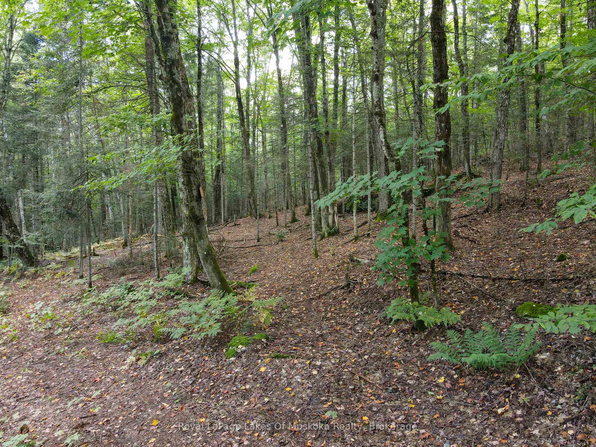 Photo 14 of Boundary Road, Parry Sound Remote Area, Lount — HOMEH