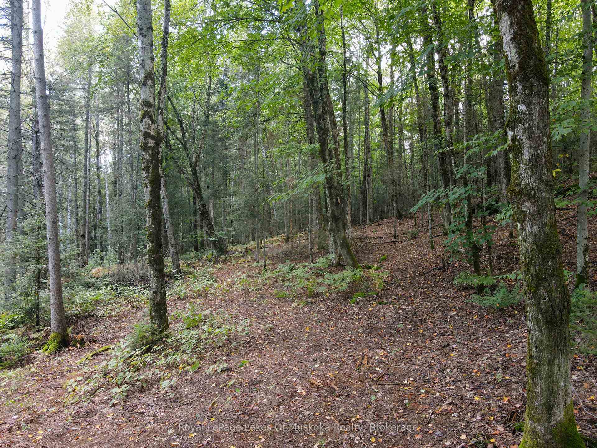 Photo 15 of Boundary Road, Parry Sound Remote Area, Lount — HOMEH