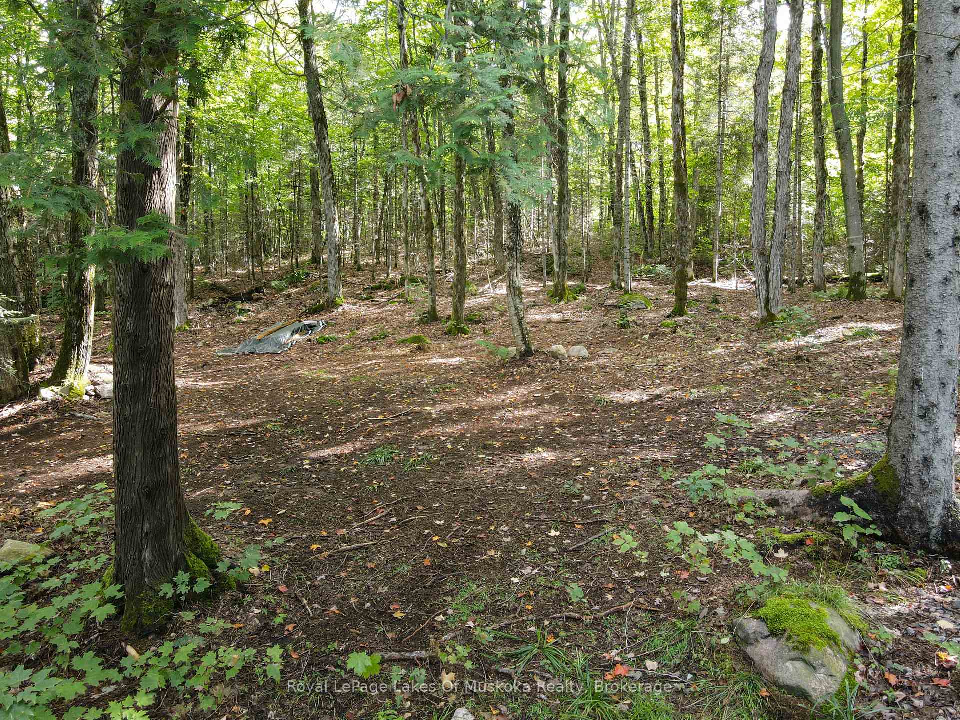 Photo 21 of Boundary Road, Parry Sound Remote Area, Lount — HOMEH