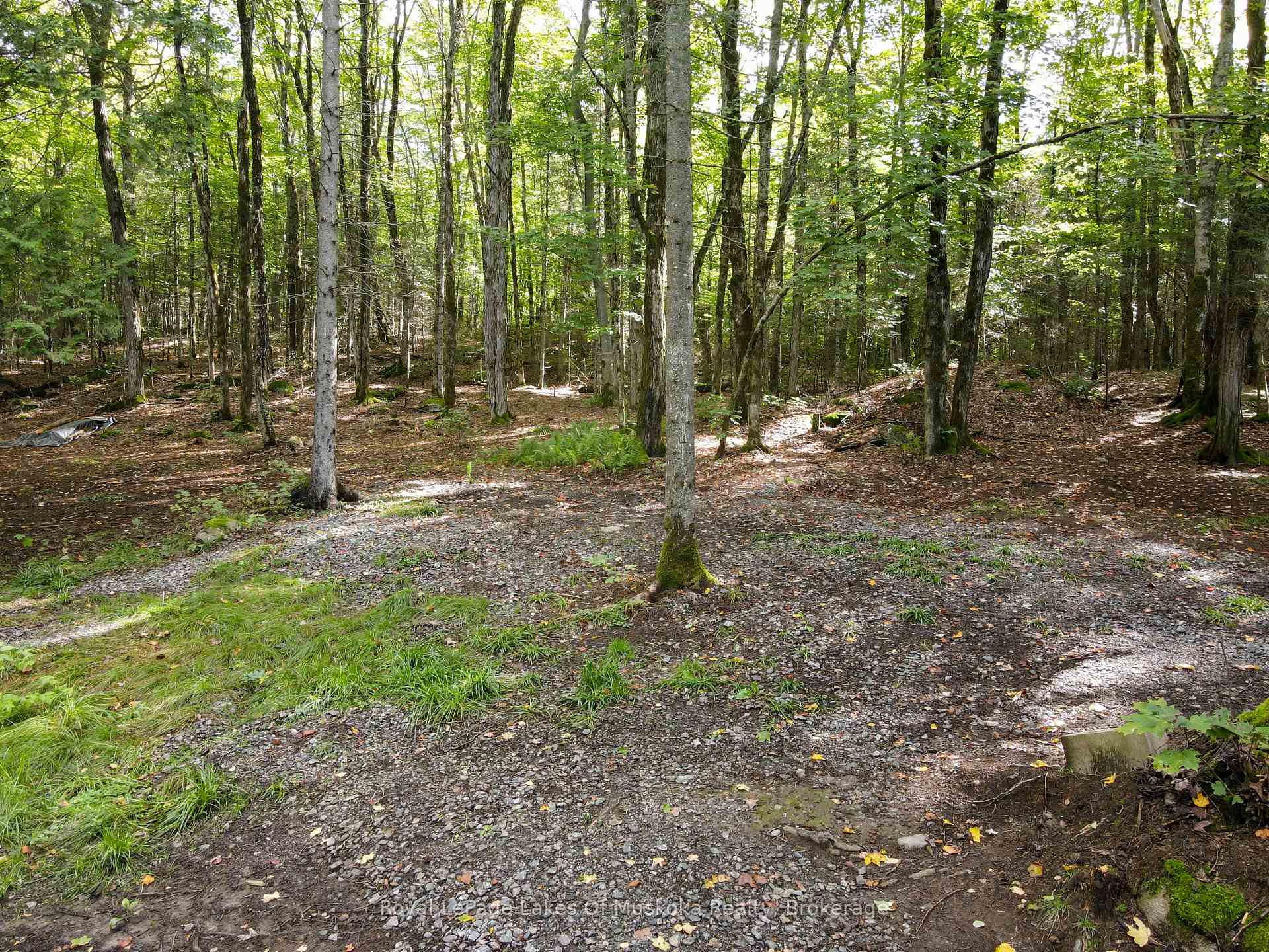 Photo 23 of Boundary Road, Parry Sound Remote Area, Lount — HOMEH
