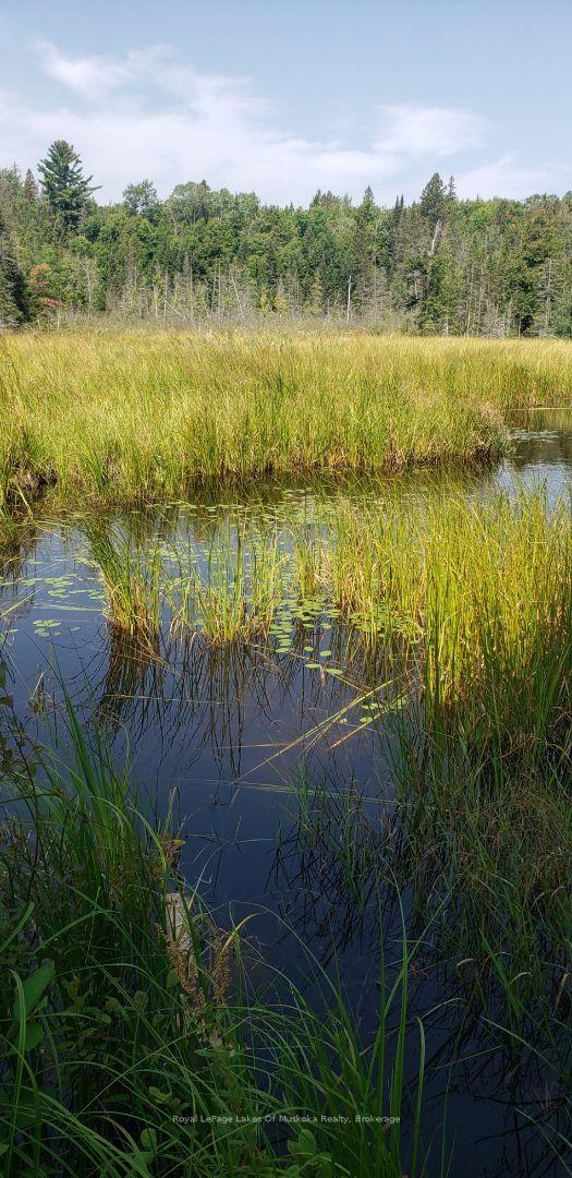 Photo 27 of Boundary Road, Parry Sound Remote Area, Lount — HOMEH