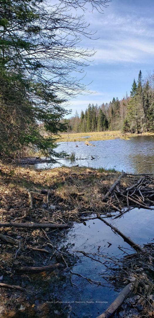 Photo 29 of Boundary Road, Parry Sound Remote Area, Lount — HOMEH