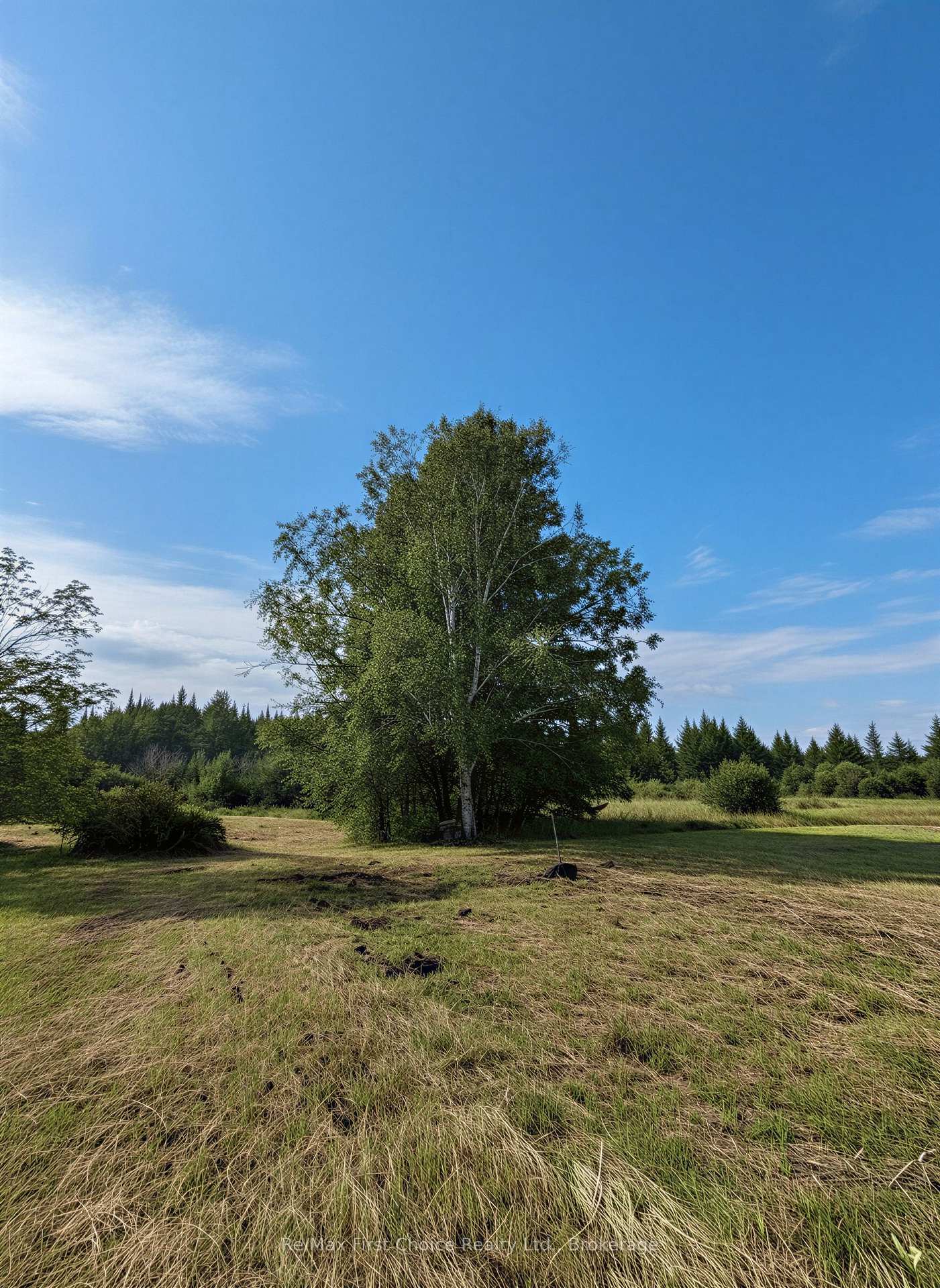 Photo 5 of 153 Hwy 600, Chapple — HOMEH
