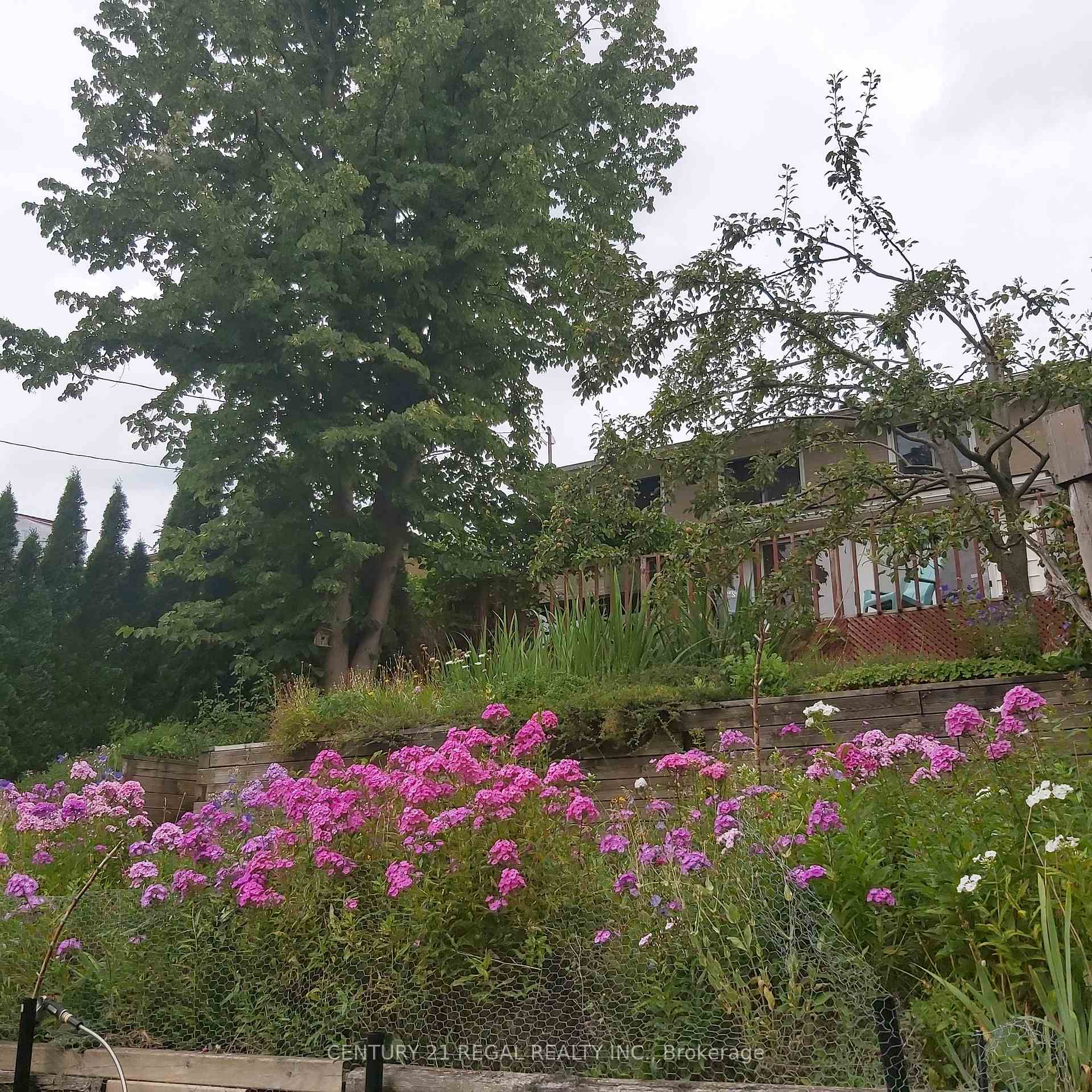 Photo 32 of 122 Longfield Road, Halton Hills, Acton — HOMEH