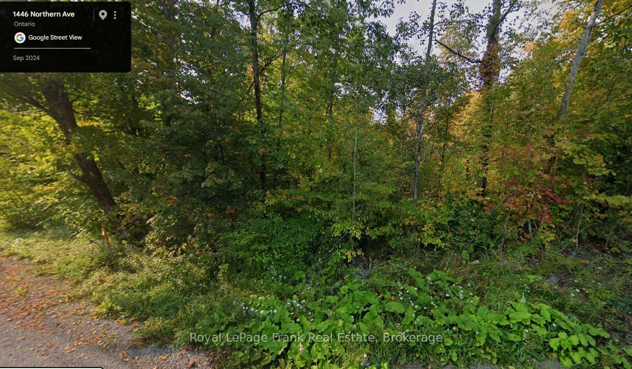 Photo 2 of Northern Avenue, Trent Lakes — HOMEH