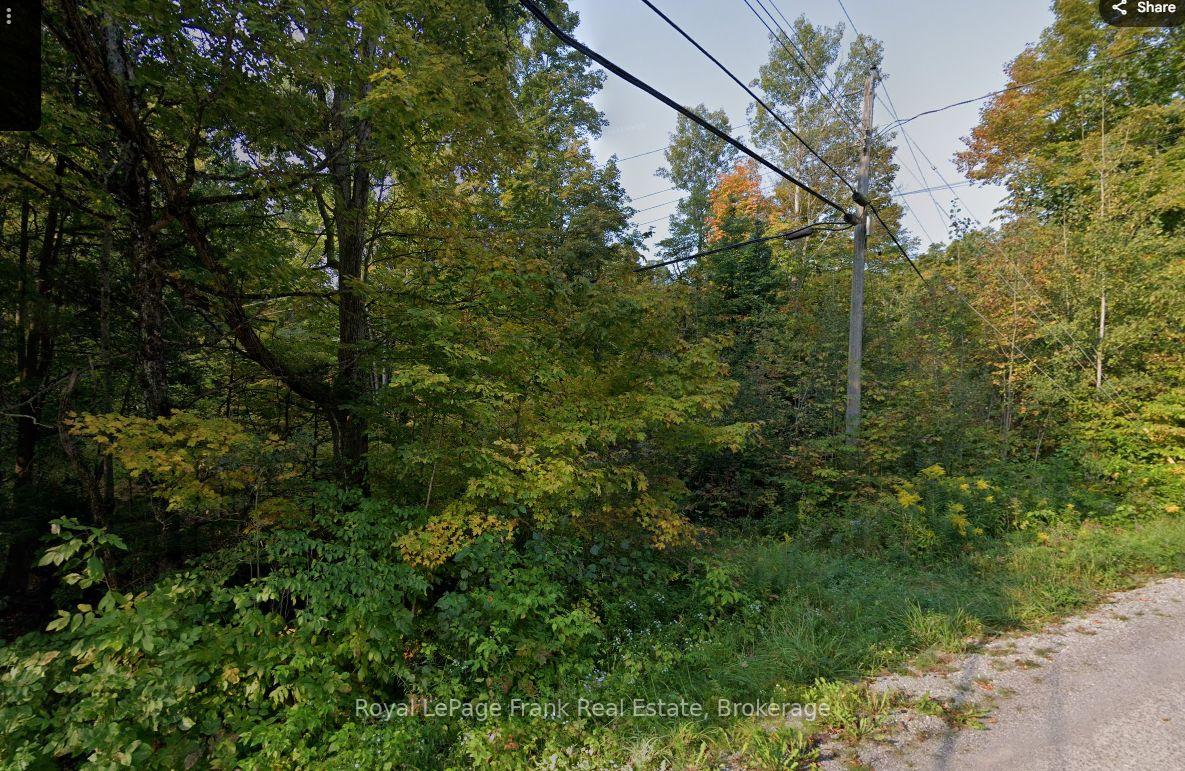 Photo 3 of Northern Avenue, Trent Lakes — HOMEH