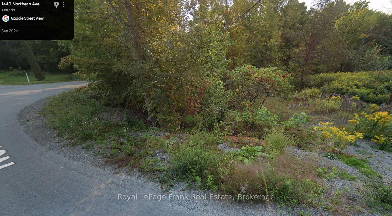 Photo 4 of Northern Avenue, Trent Lakes — HOMEH