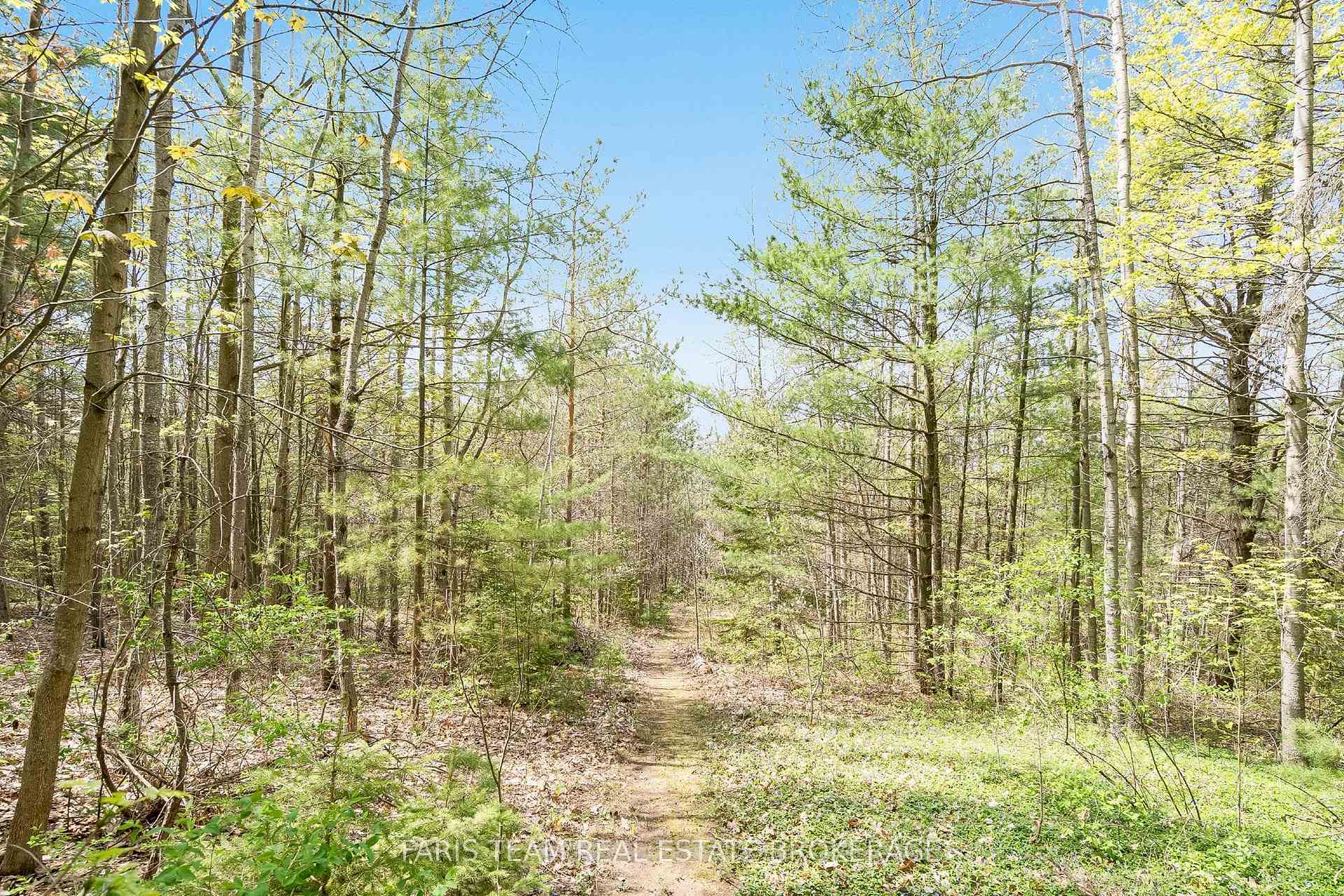 Photo 43 of 4 Mills Circle, Springwater, Rural Springwater — HOMEH