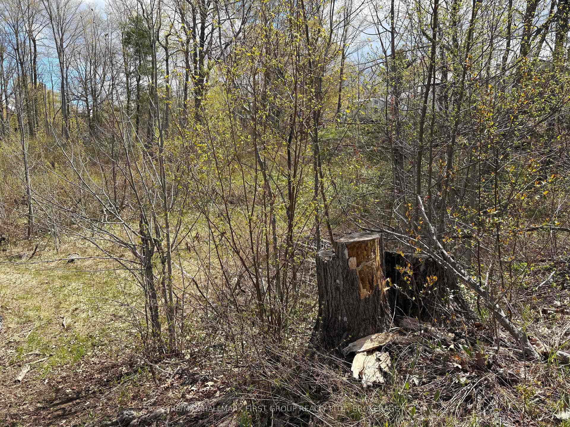 Photo 9 of Lot 0 County Road 38, Frontenac, Frontenac Centre — HOMEH