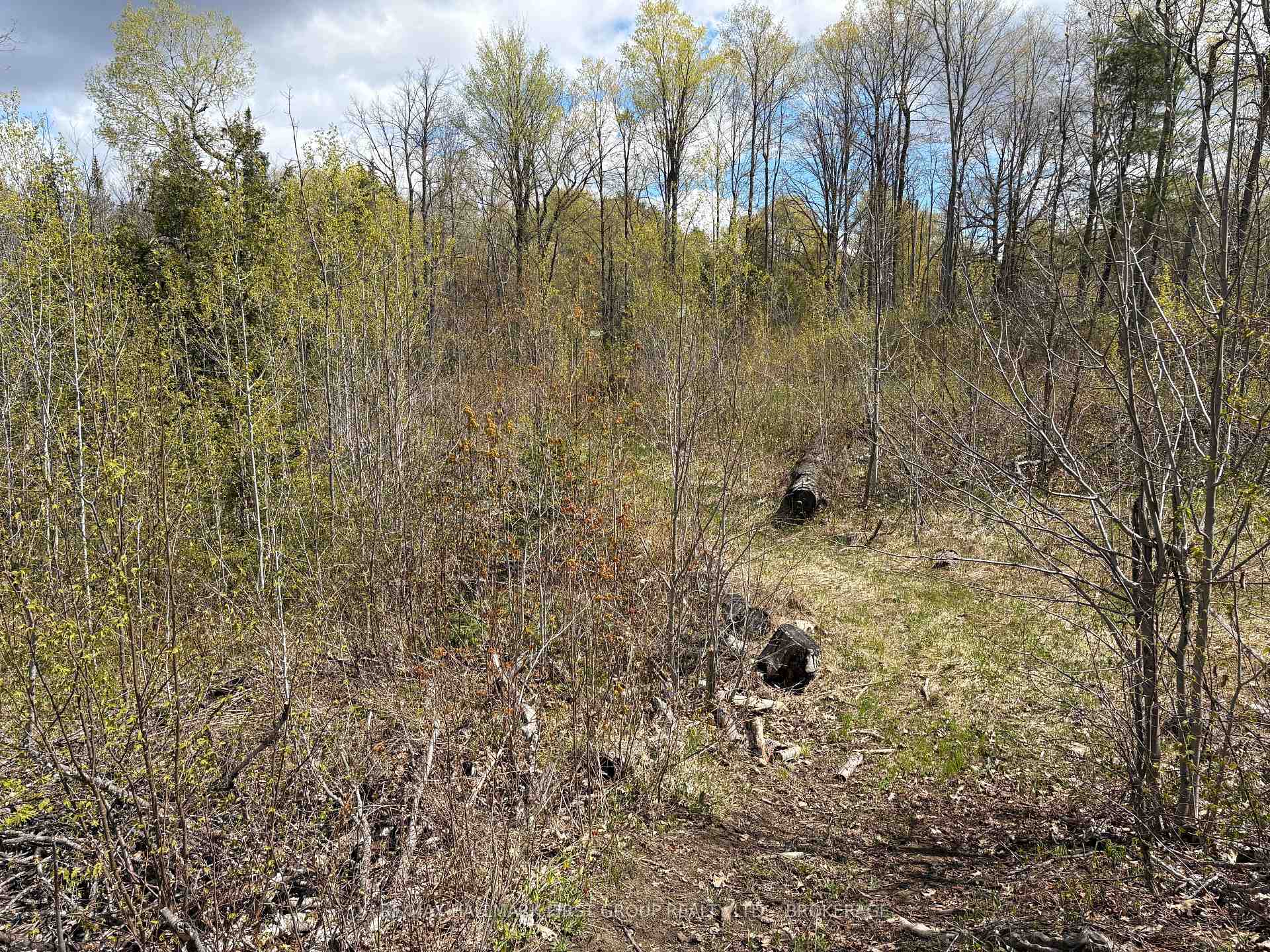 Photo 10 of Lot 0 County Road 38, Frontenac, Frontenac Centre — HOMEH
