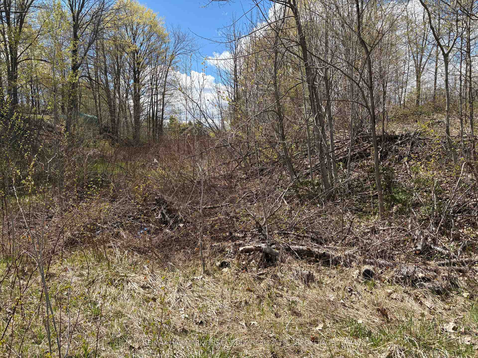 Photo 12 of Lot 0 County Road 38, Frontenac, Frontenac Centre — HOMEH