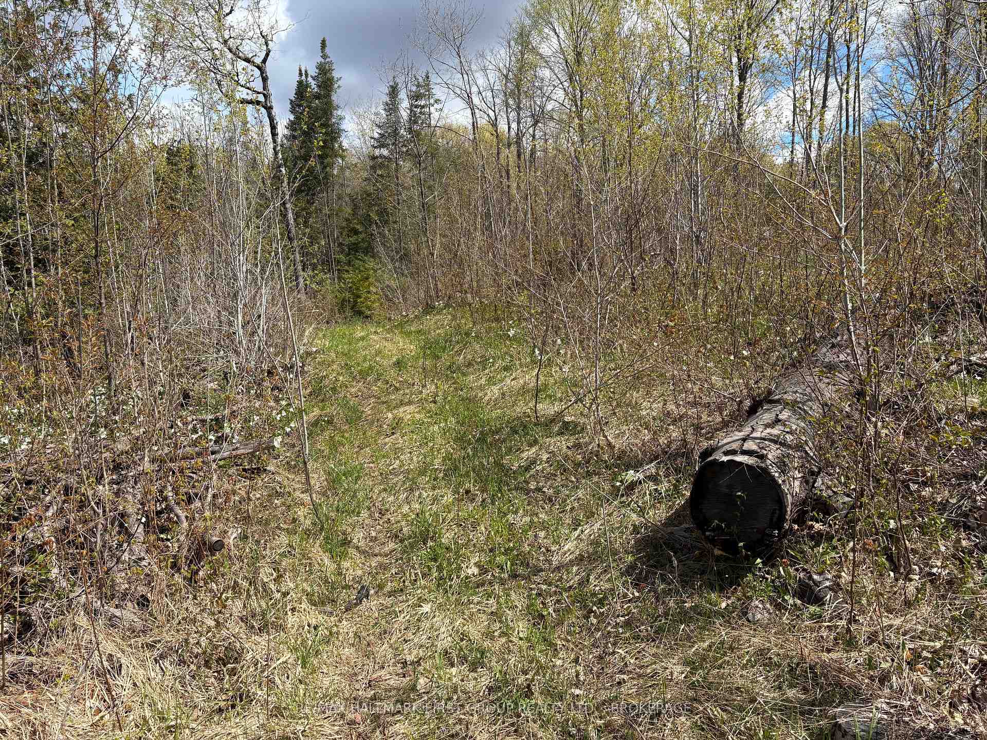 Photo 13 of Lot 0 County Road 38, Frontenac, Frontenac Centre — HOMEH
