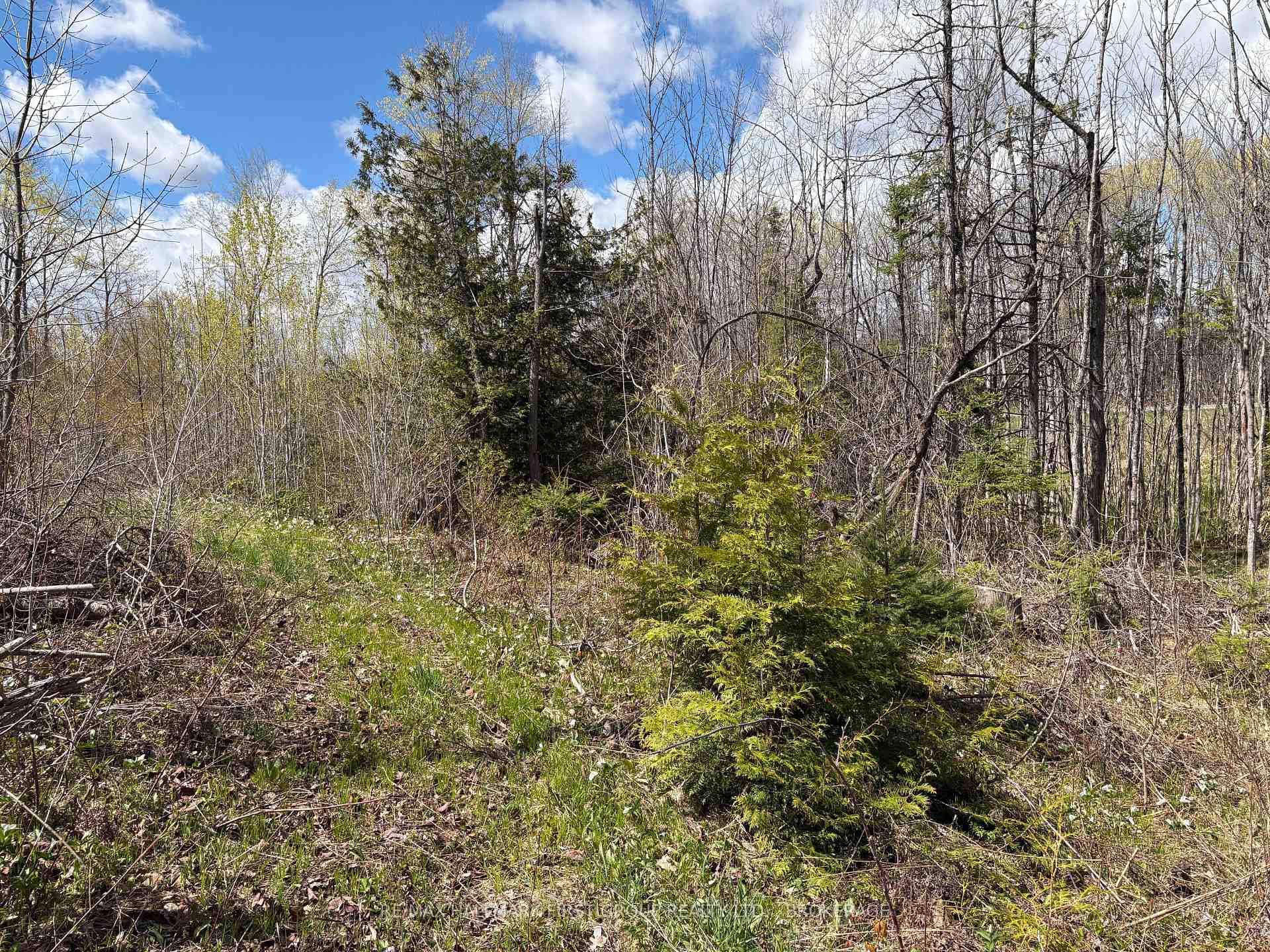Photo 15 of Lot 0 County Road 38, Frontenac, Frontenac Centre — HOMEH
