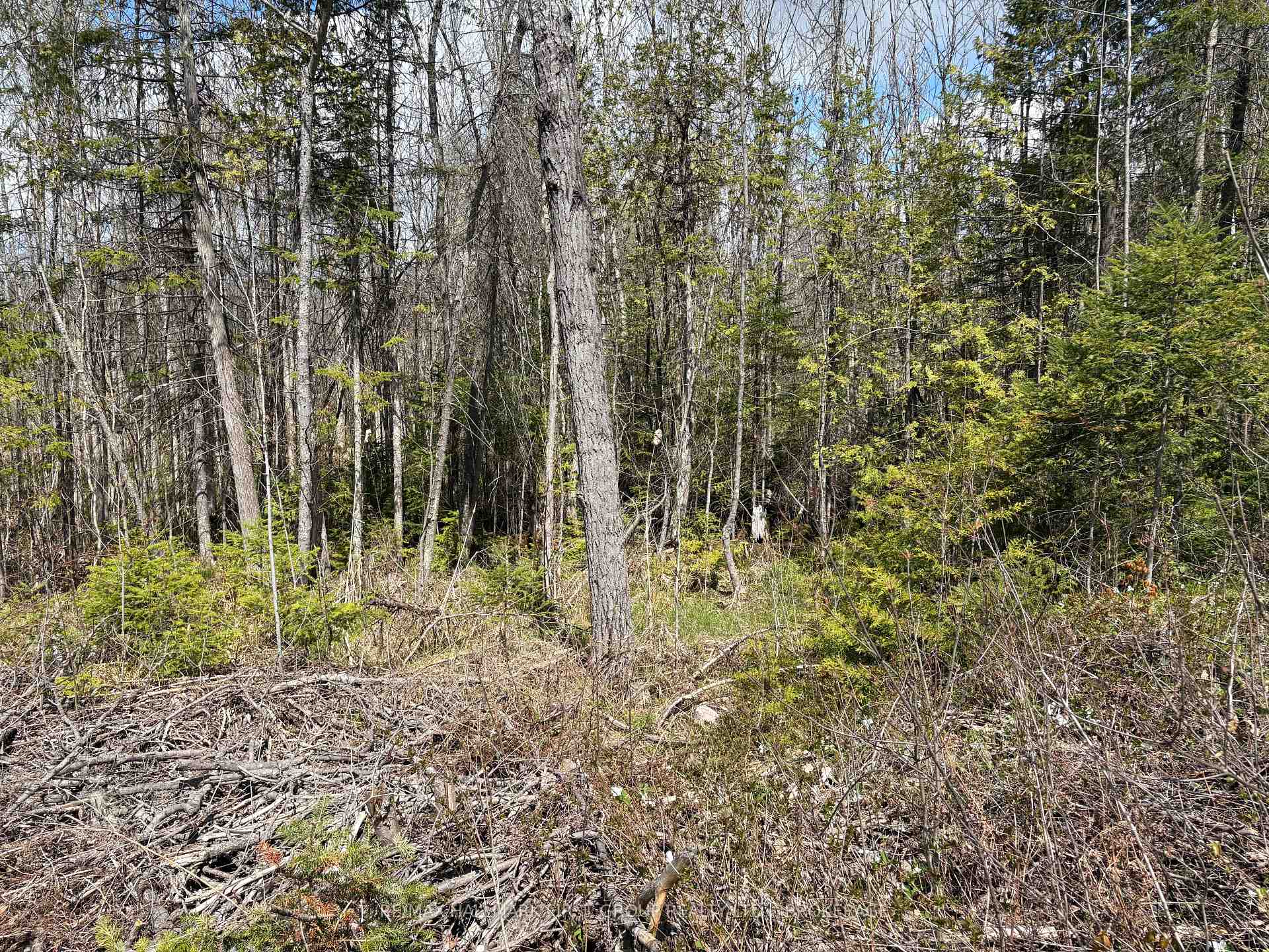 Photo 16 of Lot 0 County Road 38, Frontenac, Frontenac Centre — HOMEH