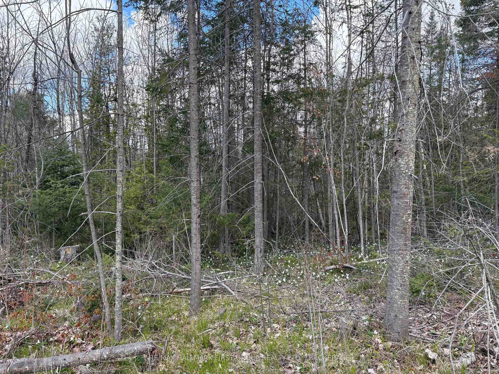 Photo 17 of Lot 0 County Road 38, Frontenac, Frontenac Centre — HOMEH