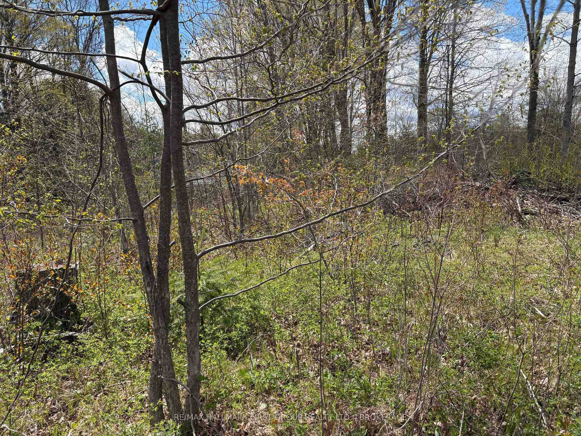 Photo 19 of Lot 0 County Road 38, Frontenac, Frontenac Centre — HOMEH